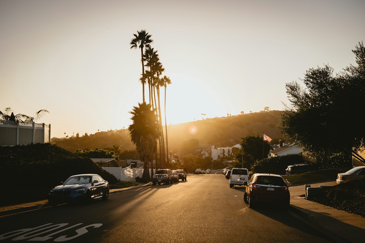 Palm trees lining a residential street at sunset