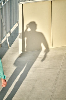 Shadow of a person walking on a sidewalk.