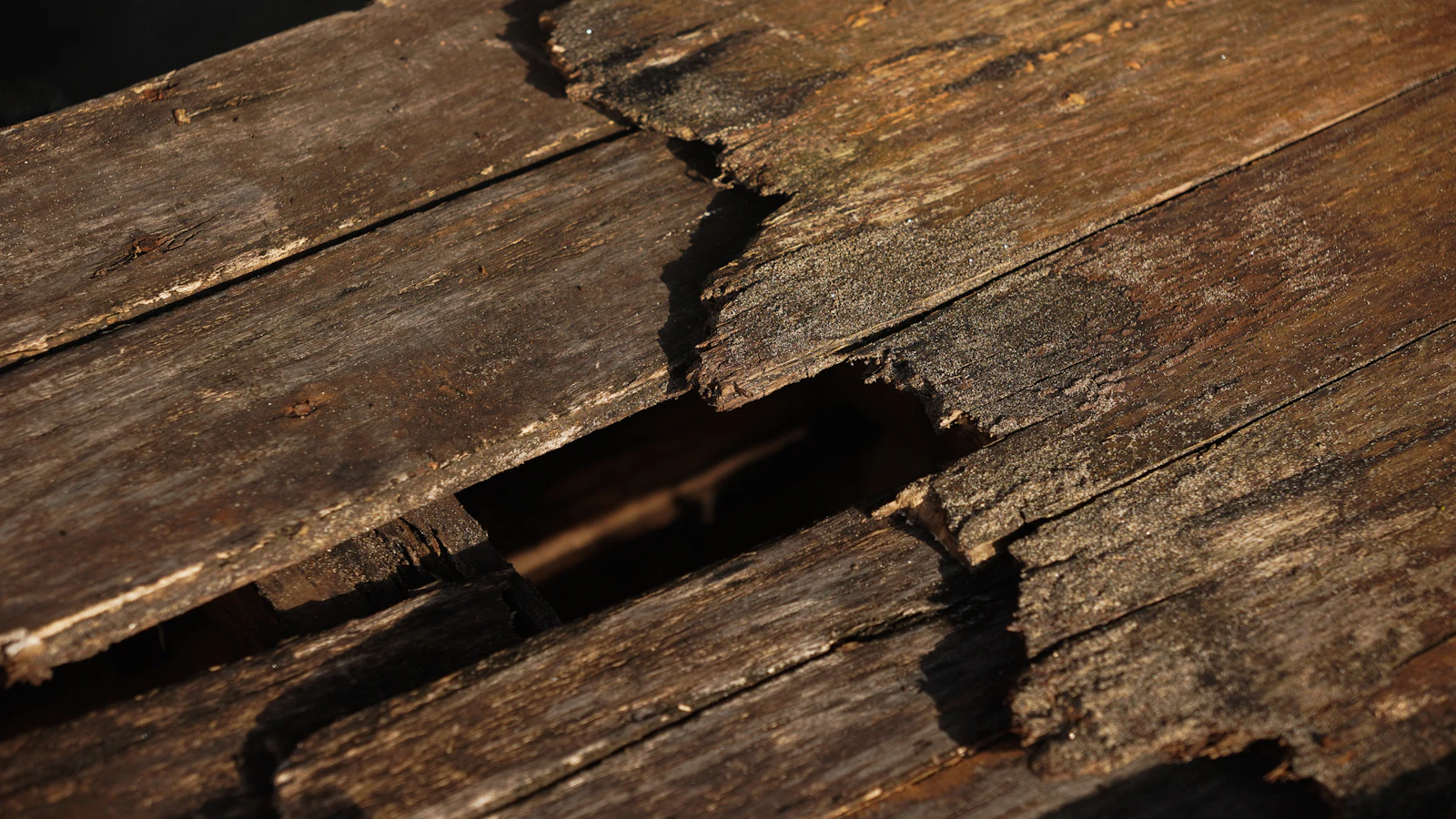 Close-up of wood rot and structural damage from water exposure