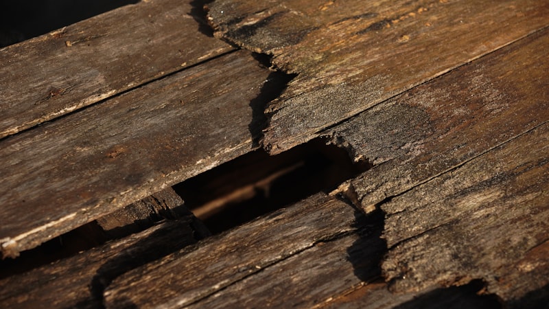 Close-up of weathered wooden planks with a gap