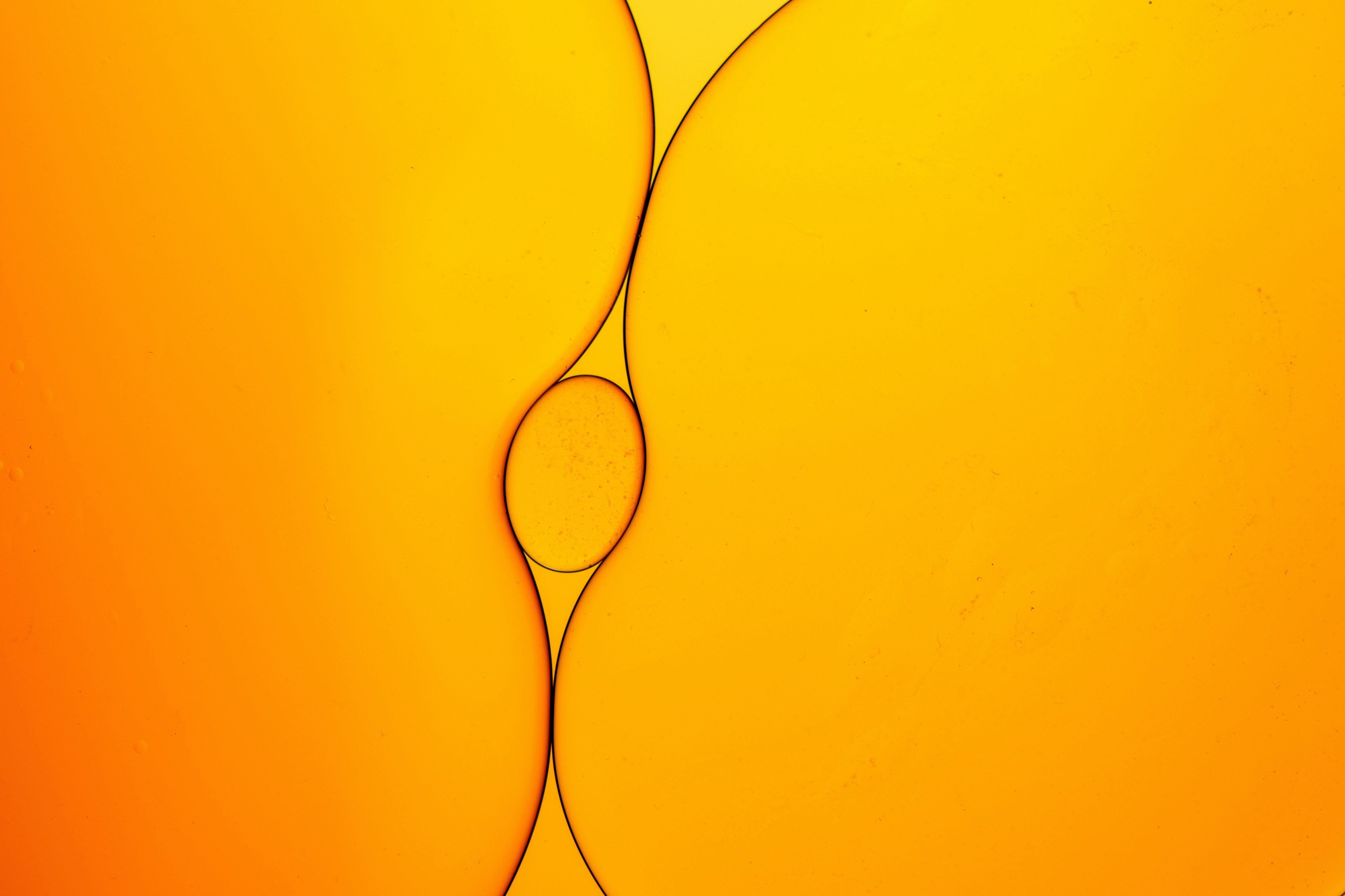 Abstract orange and yellow swirls and gold background
