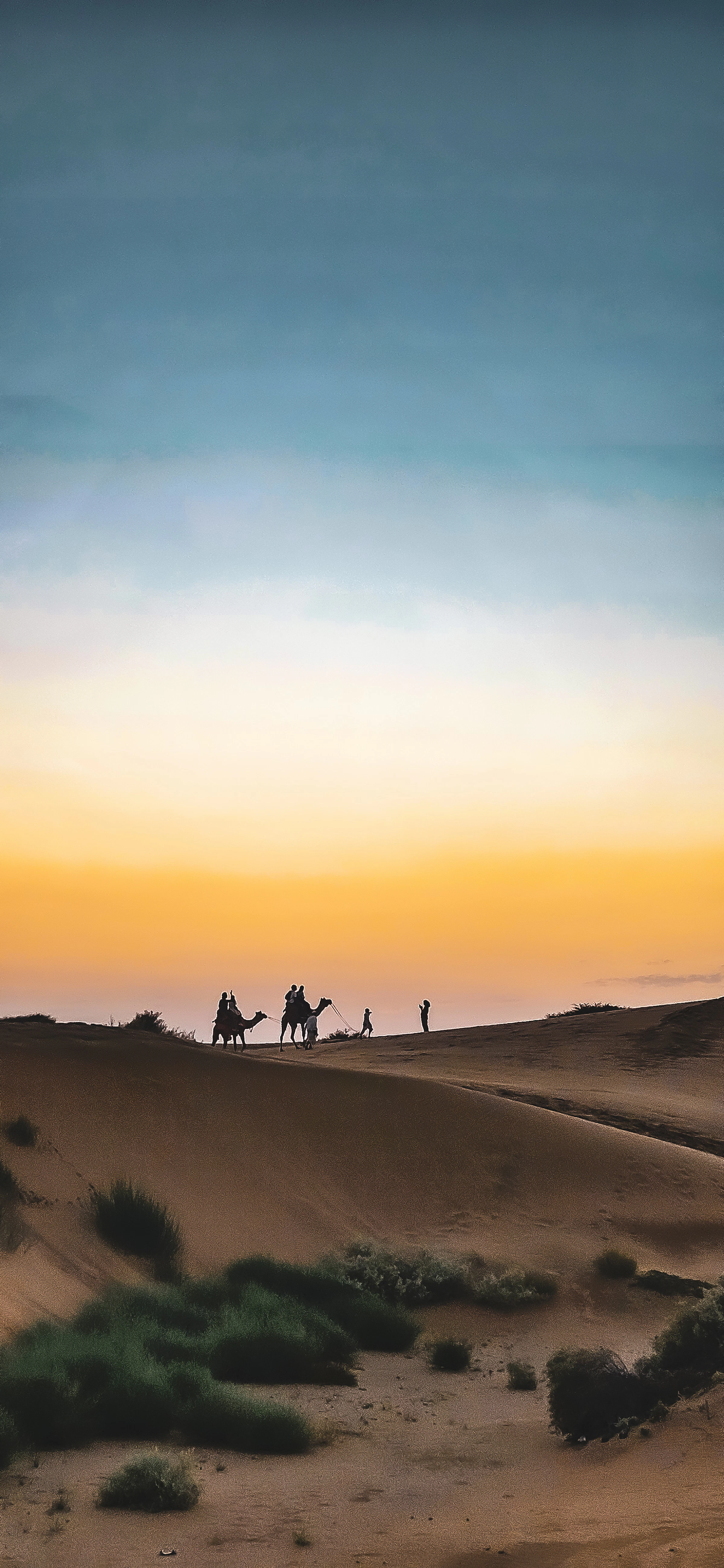Camel caravan crossing desert dunes at sunset