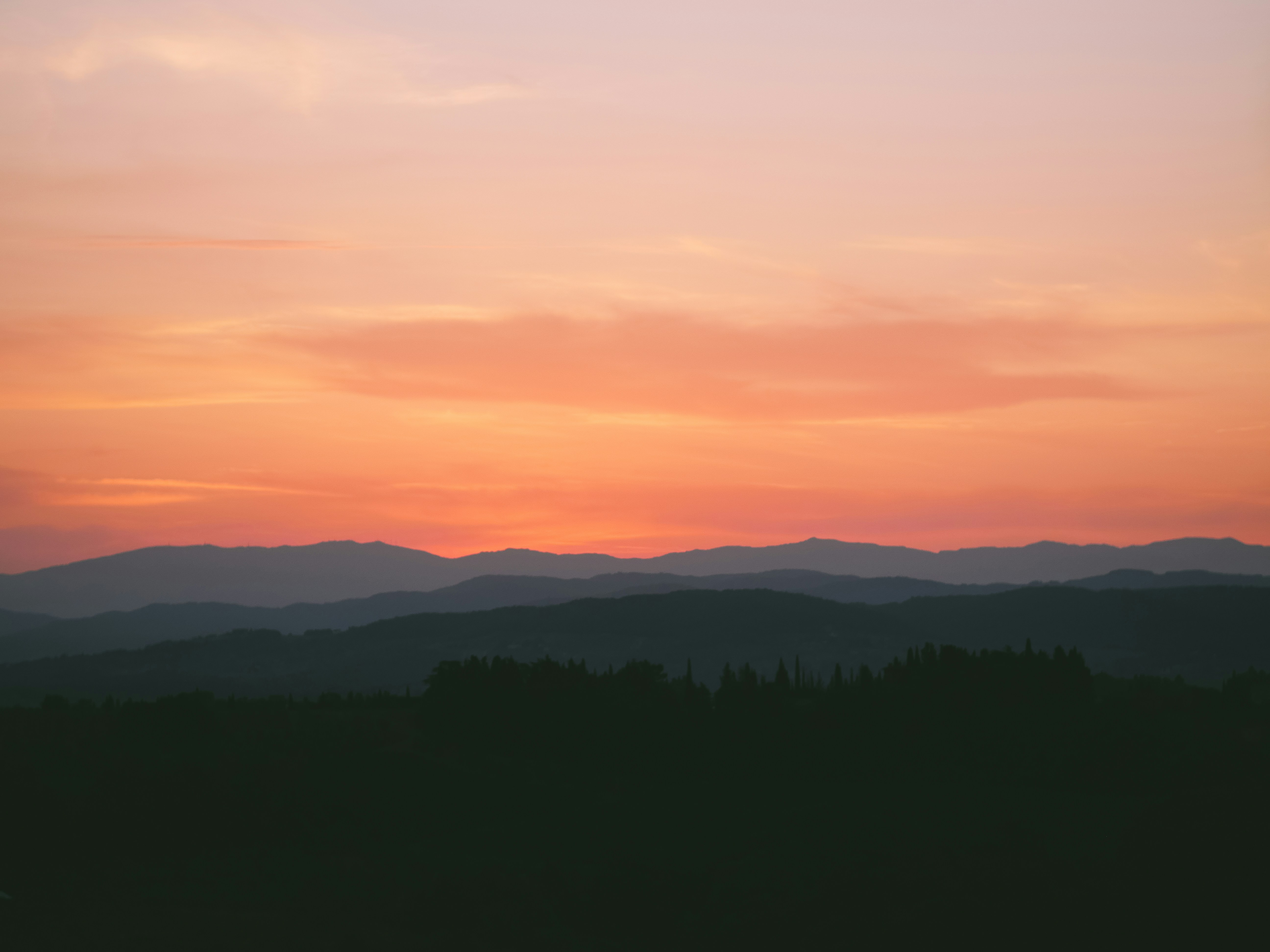 Photo by philipphubert