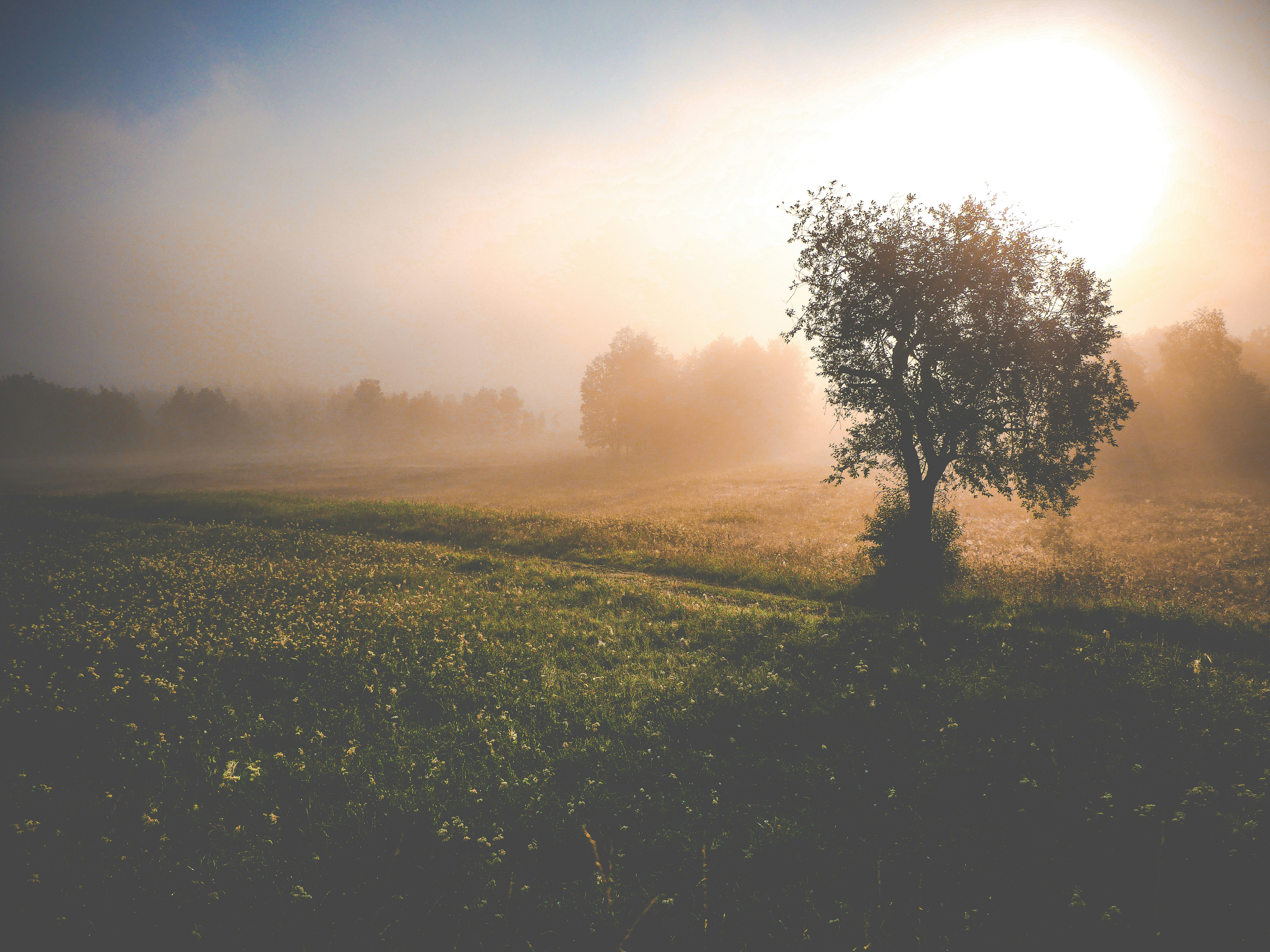 Photo by philipphubert