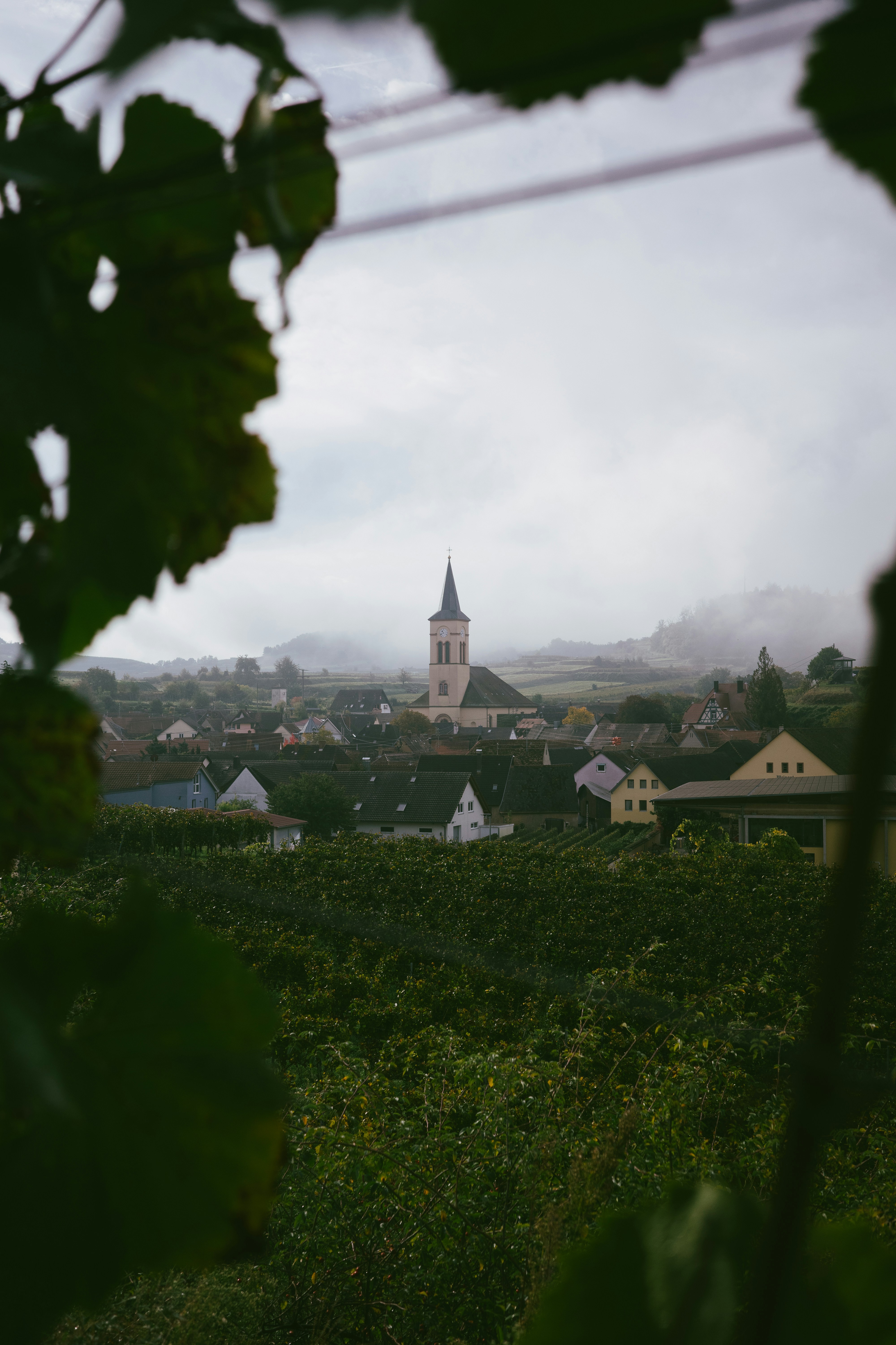 Photo by philipphubert