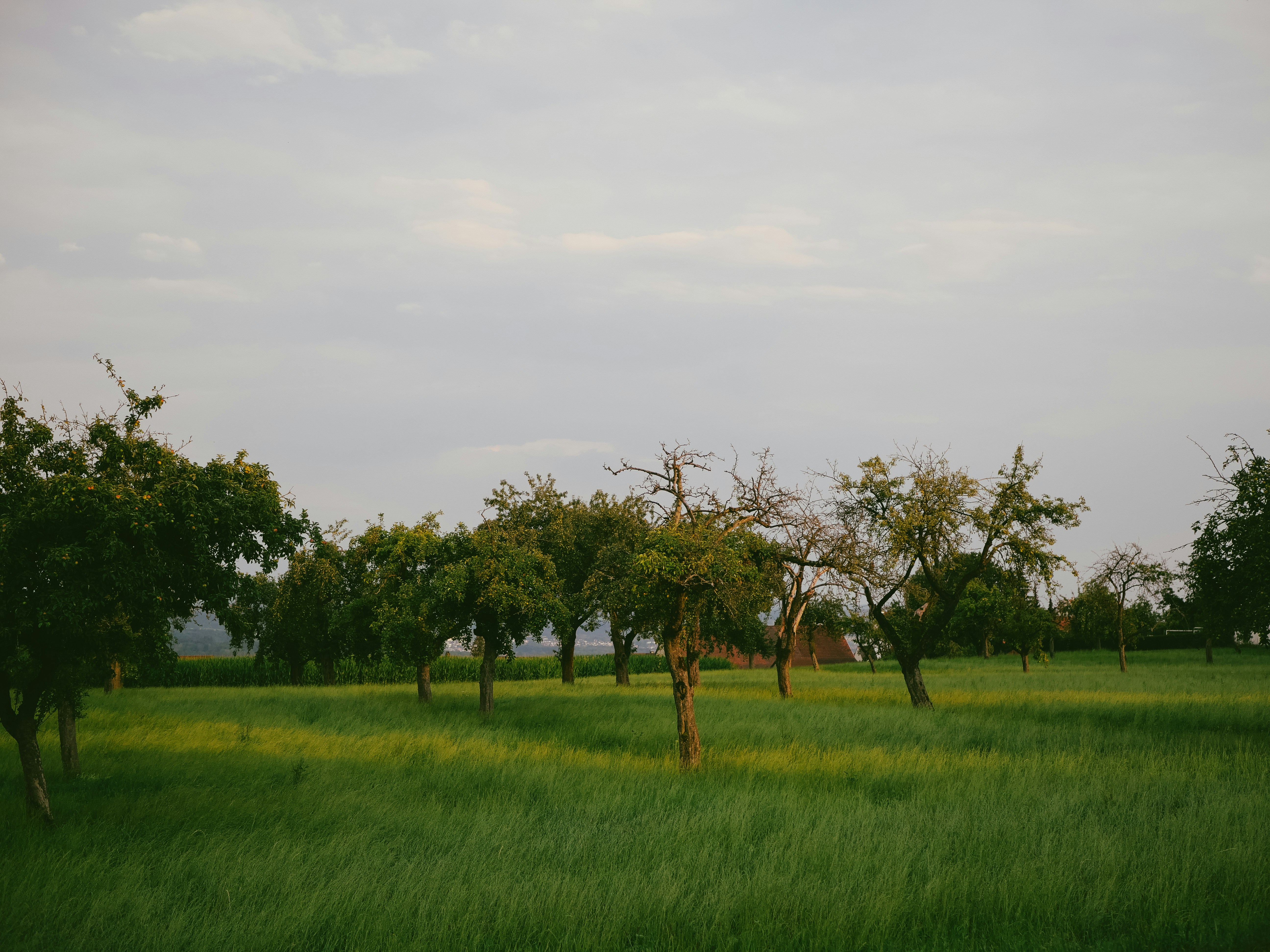 Photo by philipphubert