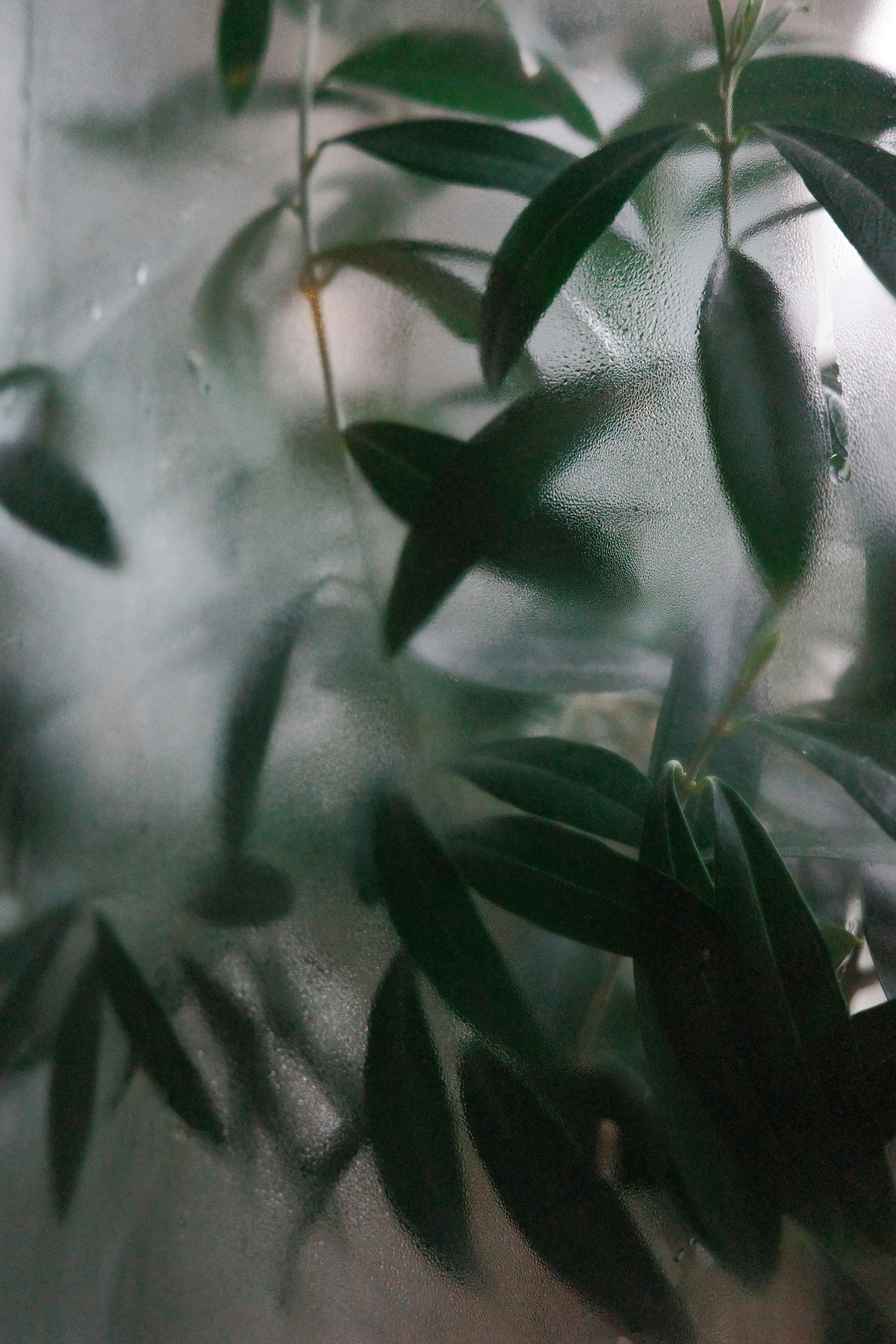 Photo by philipphubert