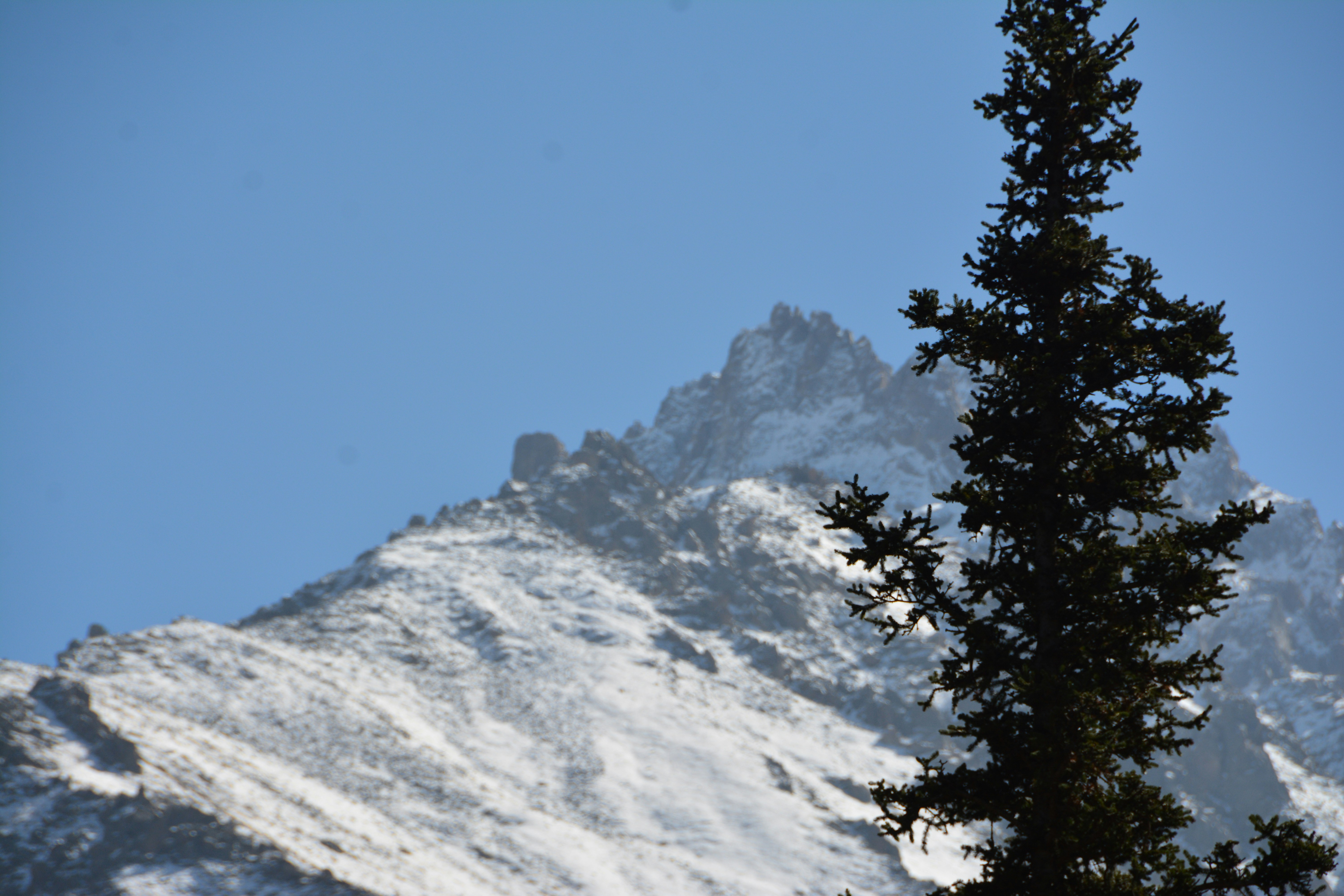 Photo by artististanbul