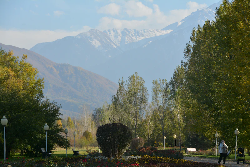 Best Free Things to Do in Leh That Cost Absolutely Nothing