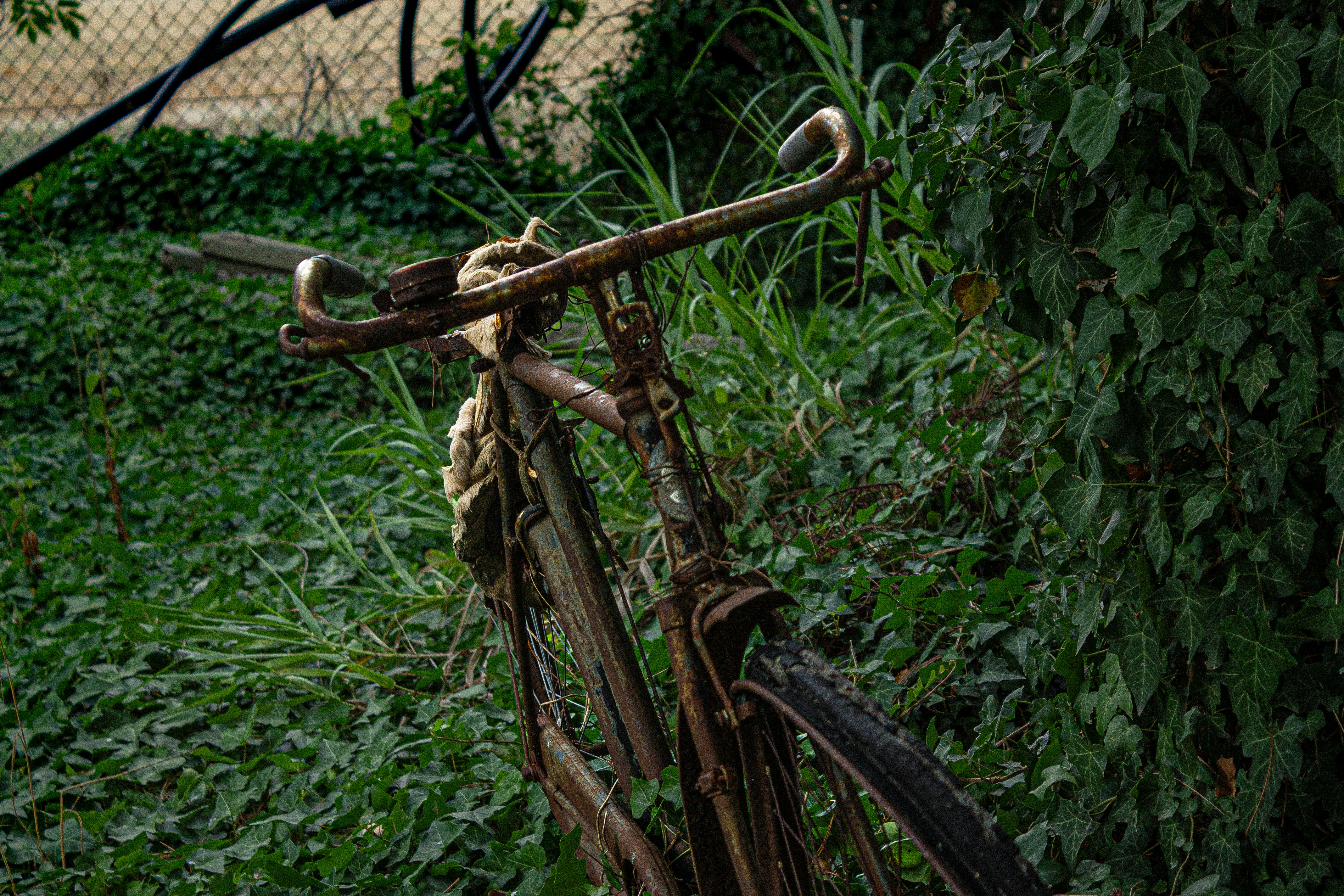 Photo by 3starsgraphics