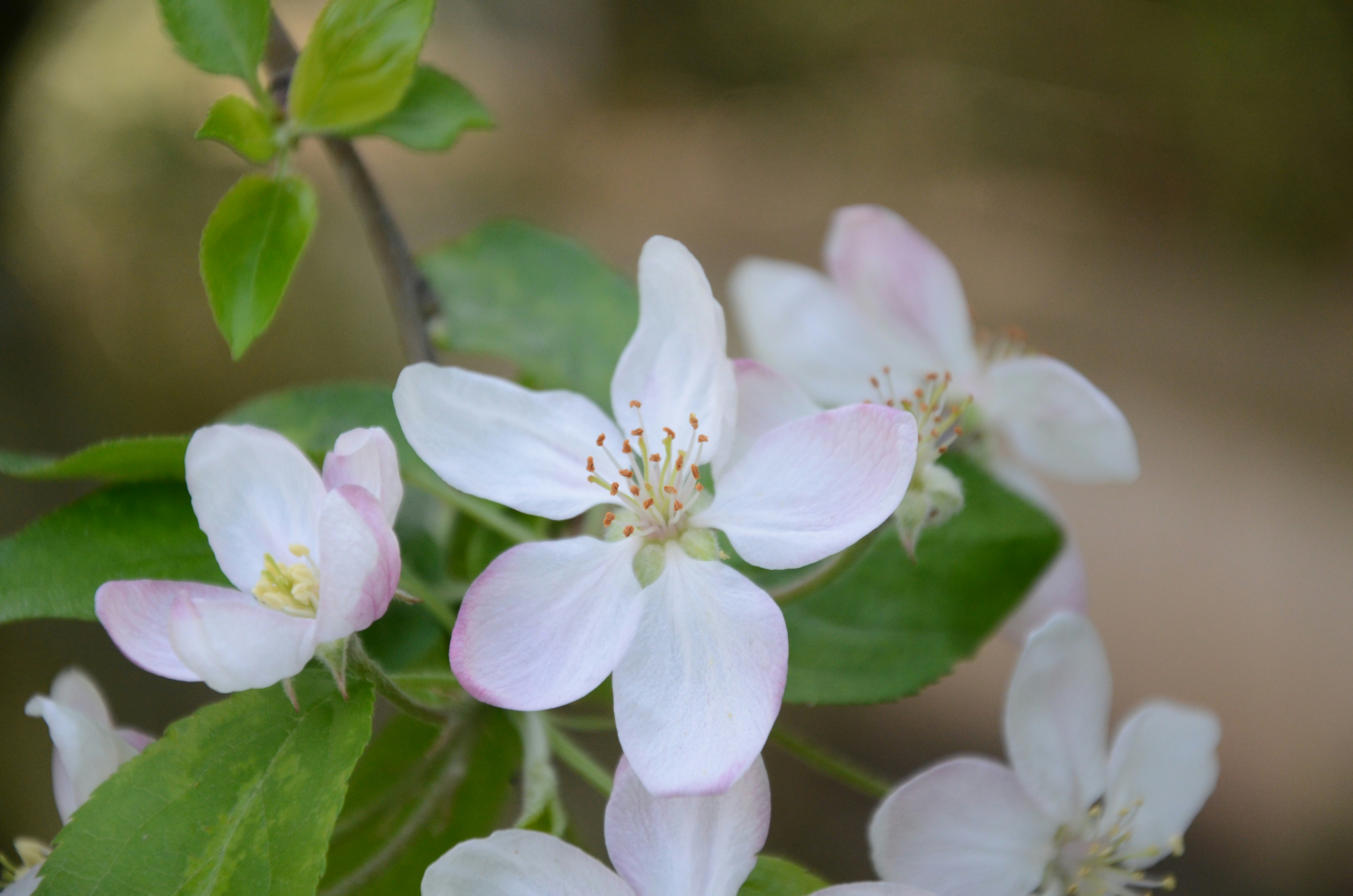 Photo by utku_kaplan