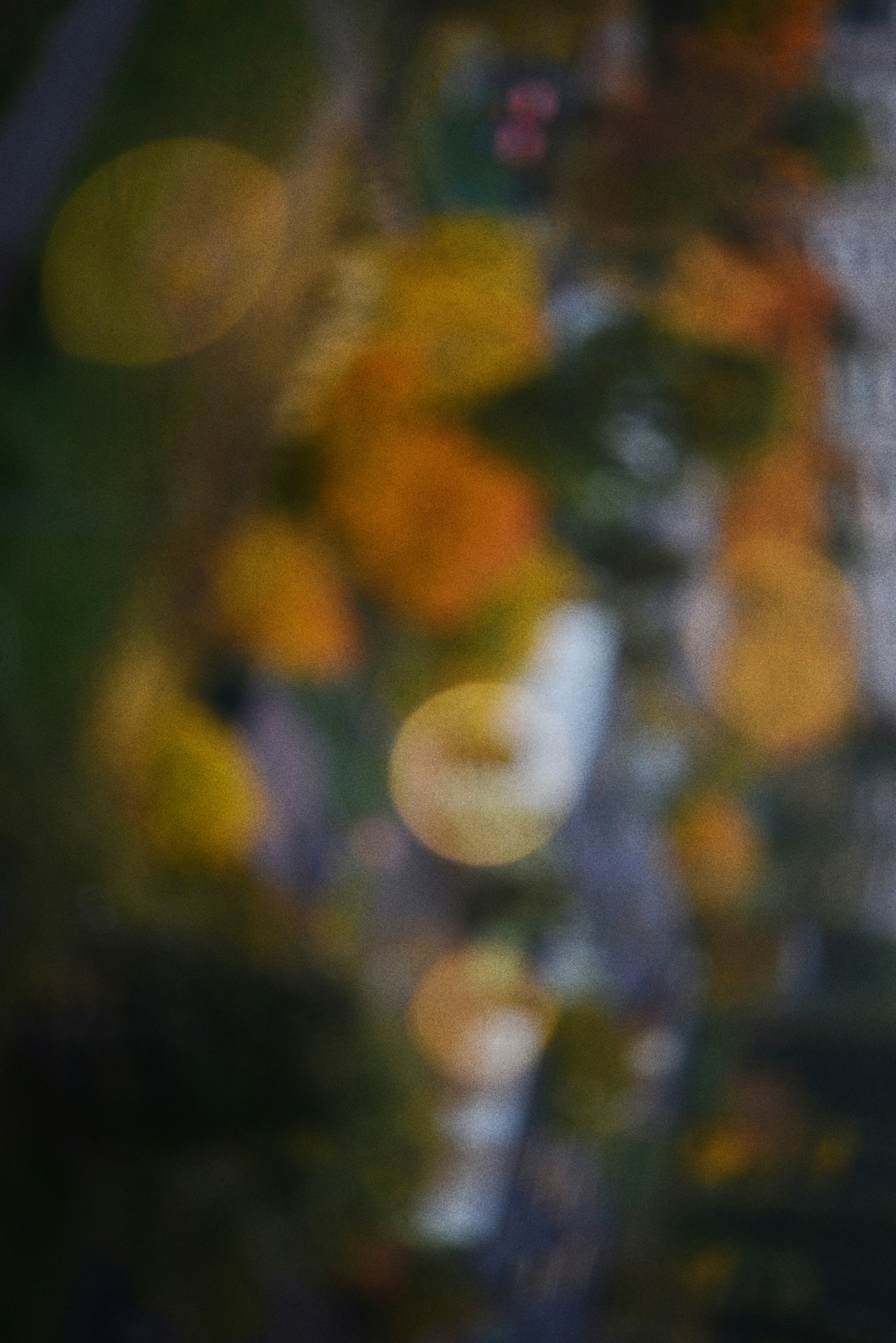 Photo by cherstve_pechivo