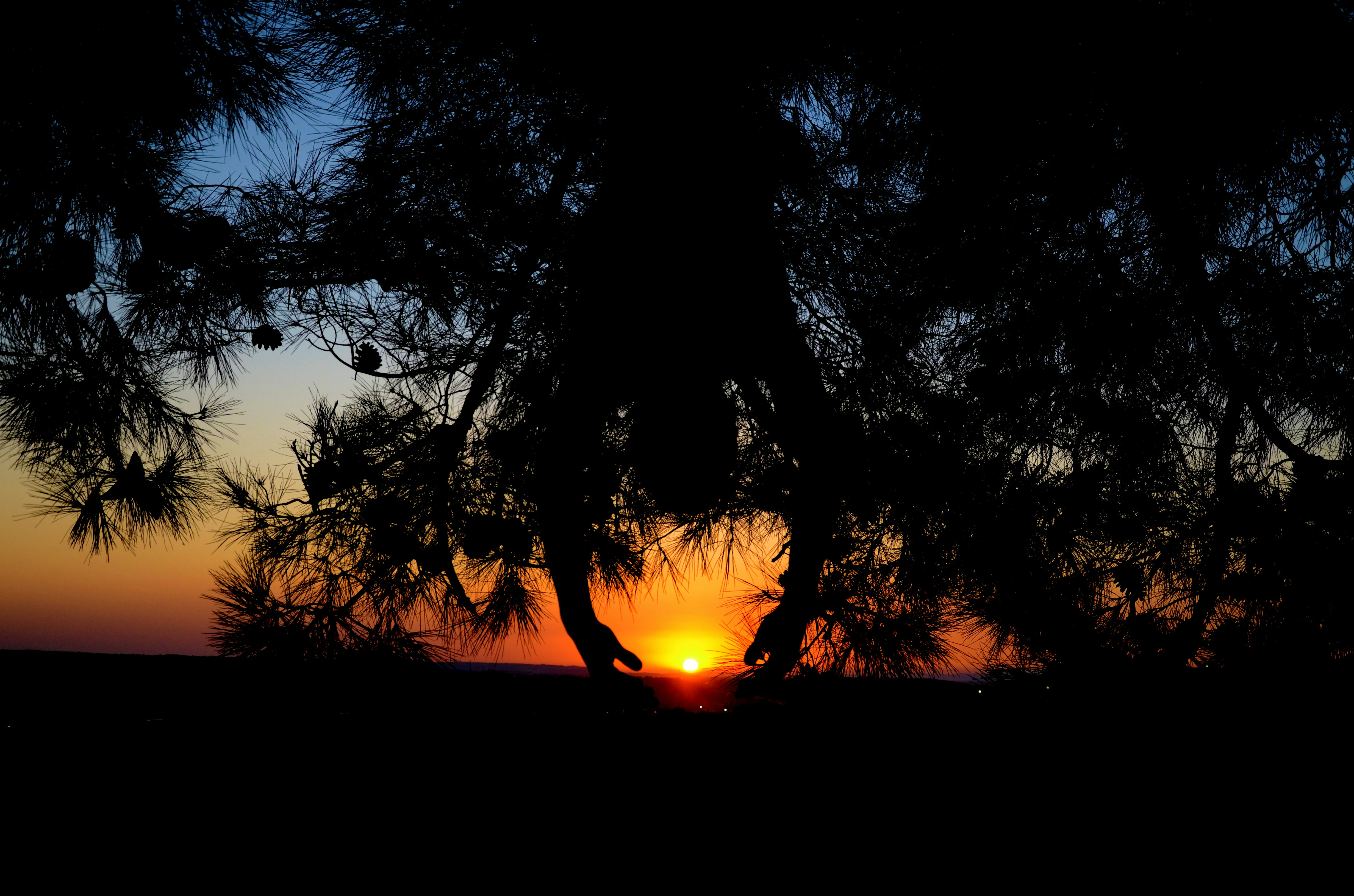 Photo by utku_kaplan