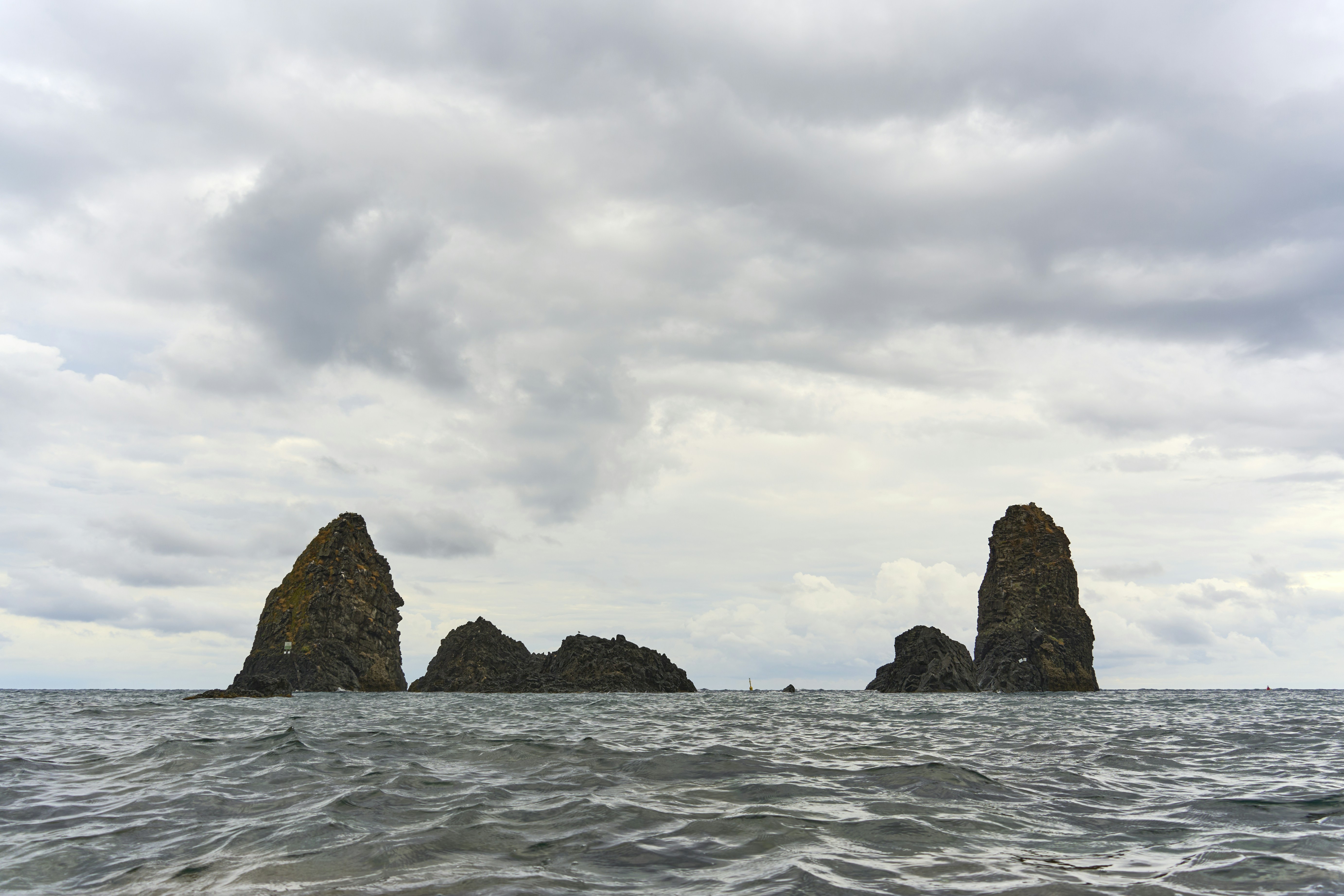 Photo by wolfgang_hasselmann