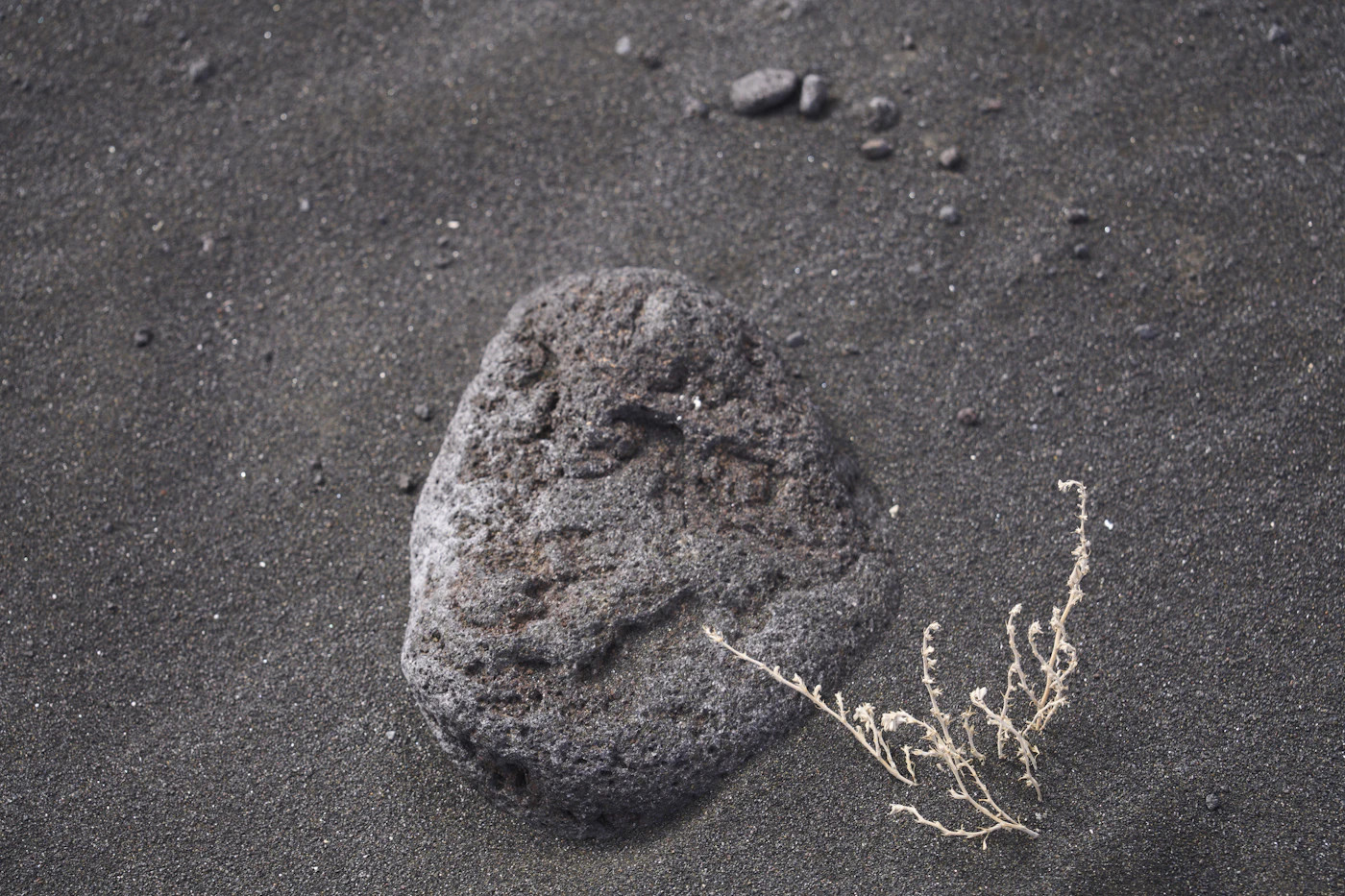 A single porous lava rock resting on black volcanic sand