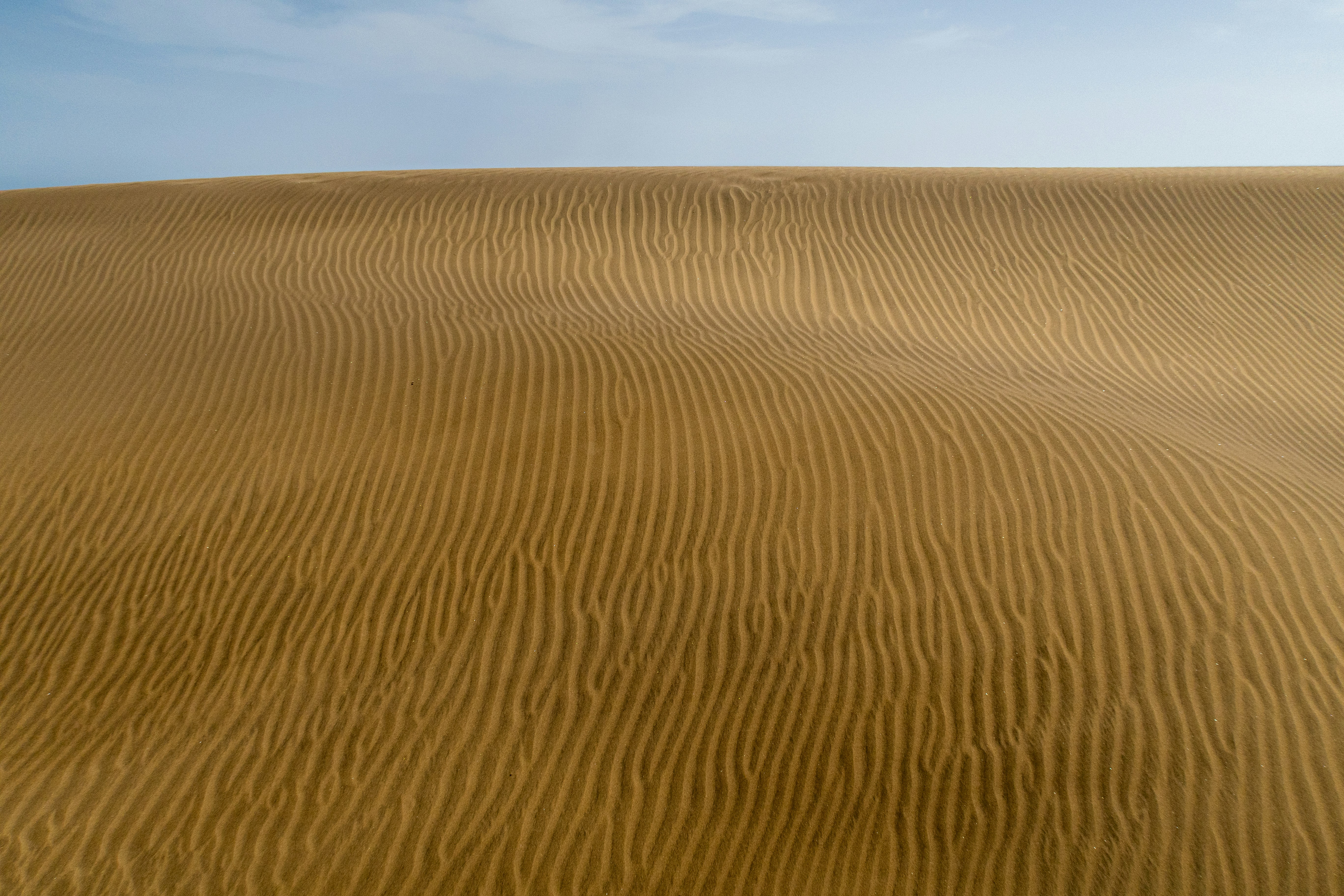 Rippled sand dunes under a clear blue sky