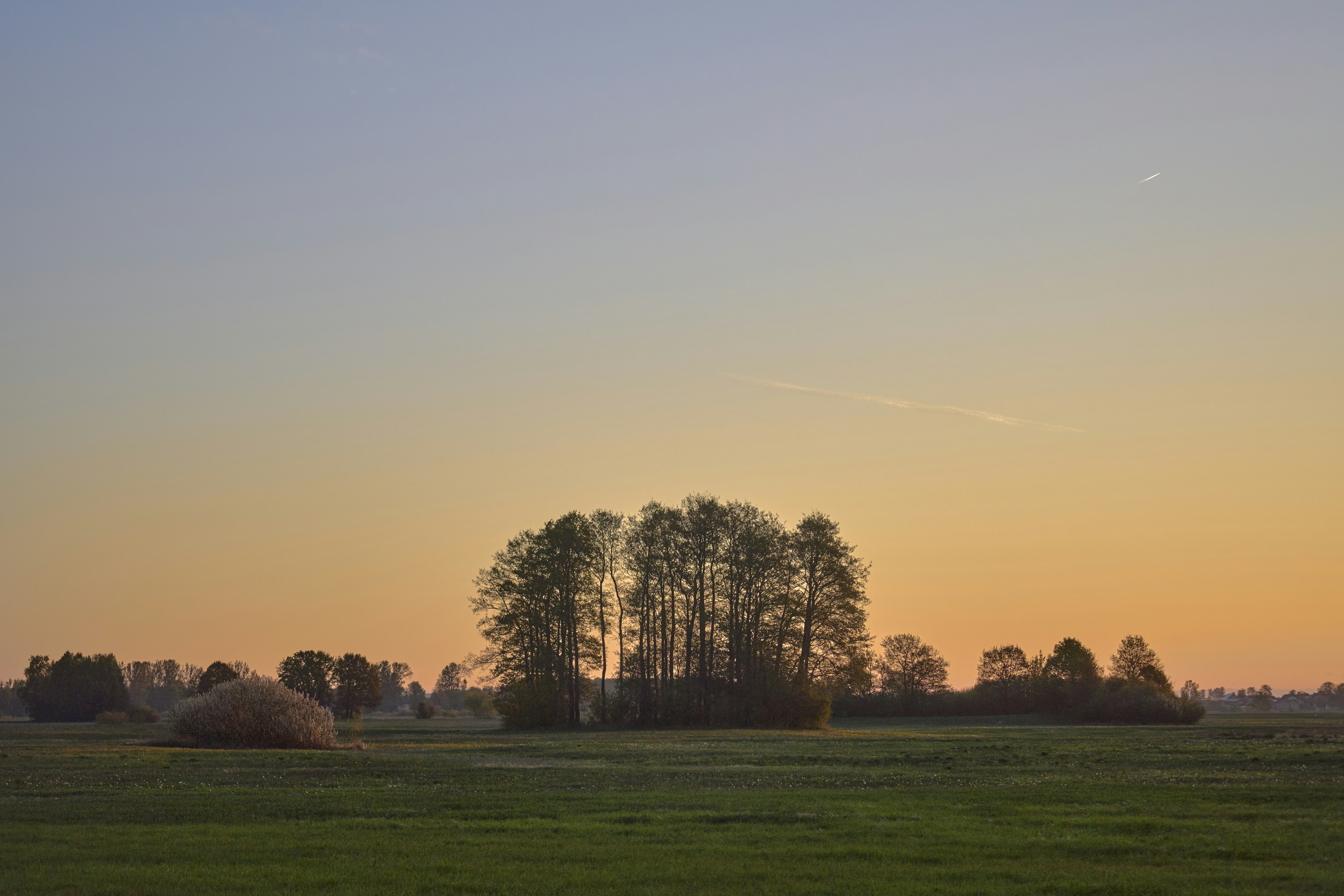 Photo by wolfgang_hasselmann