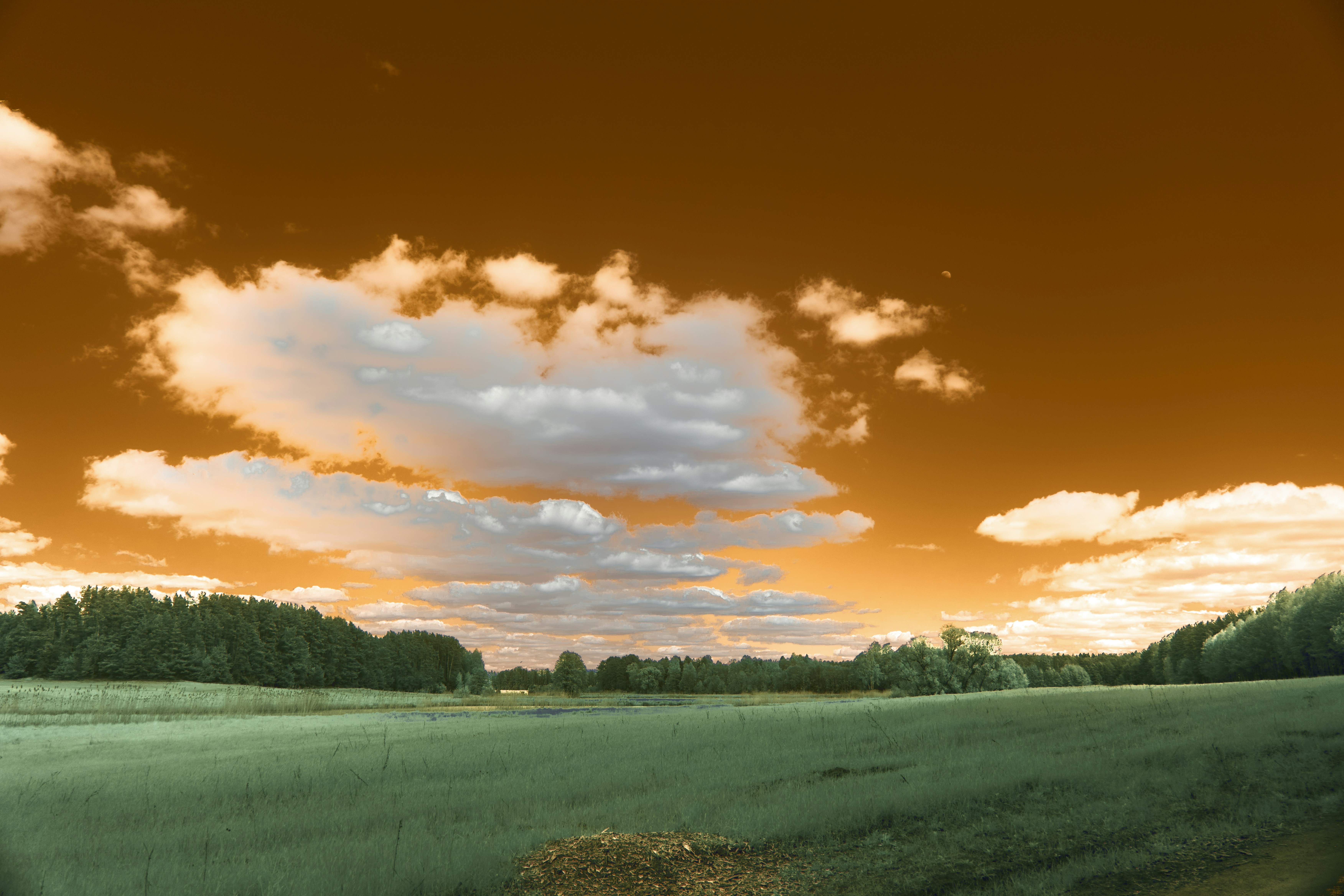 Photo by wolfgang_hasselmann