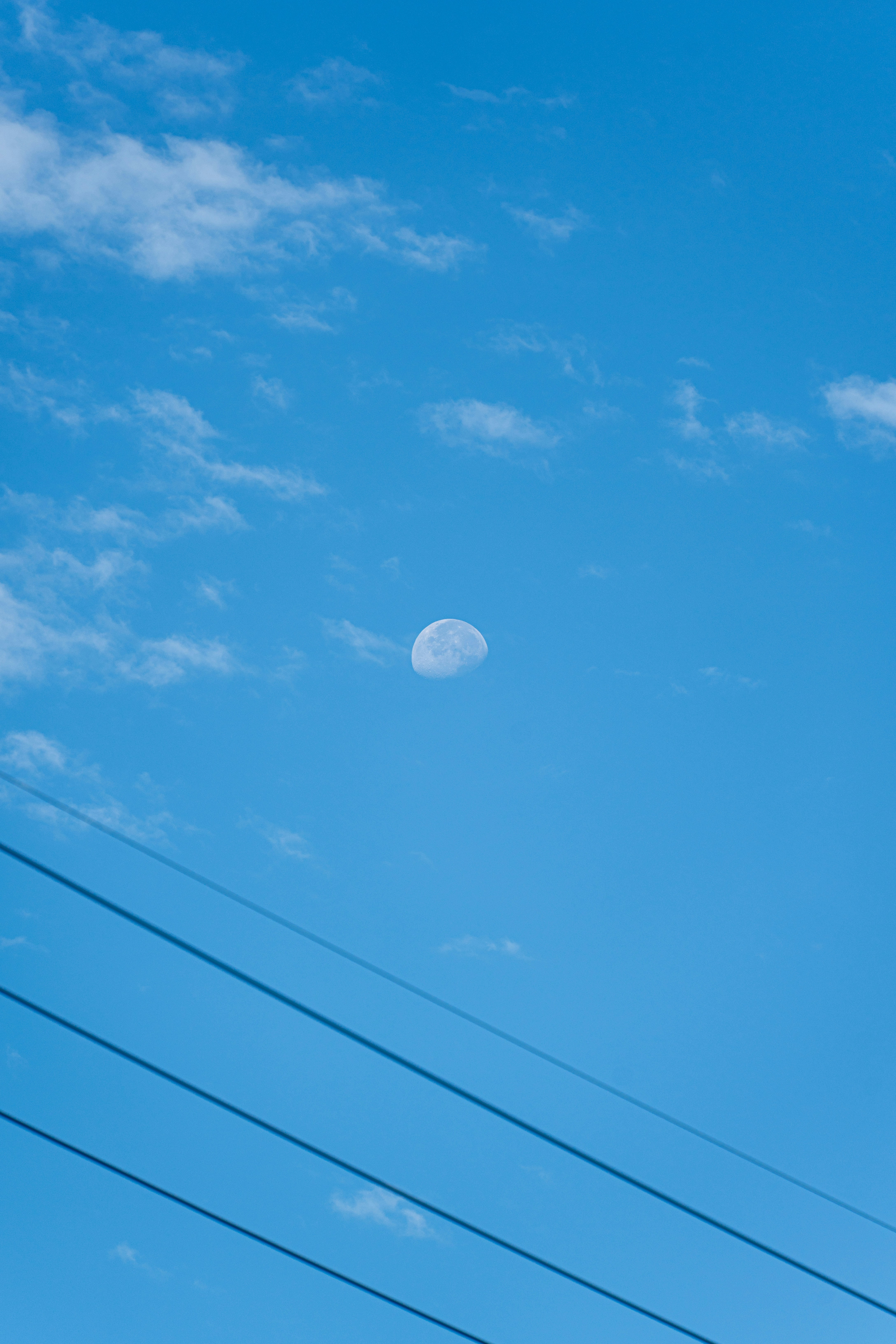 The moon is visible in a bright blue sky.