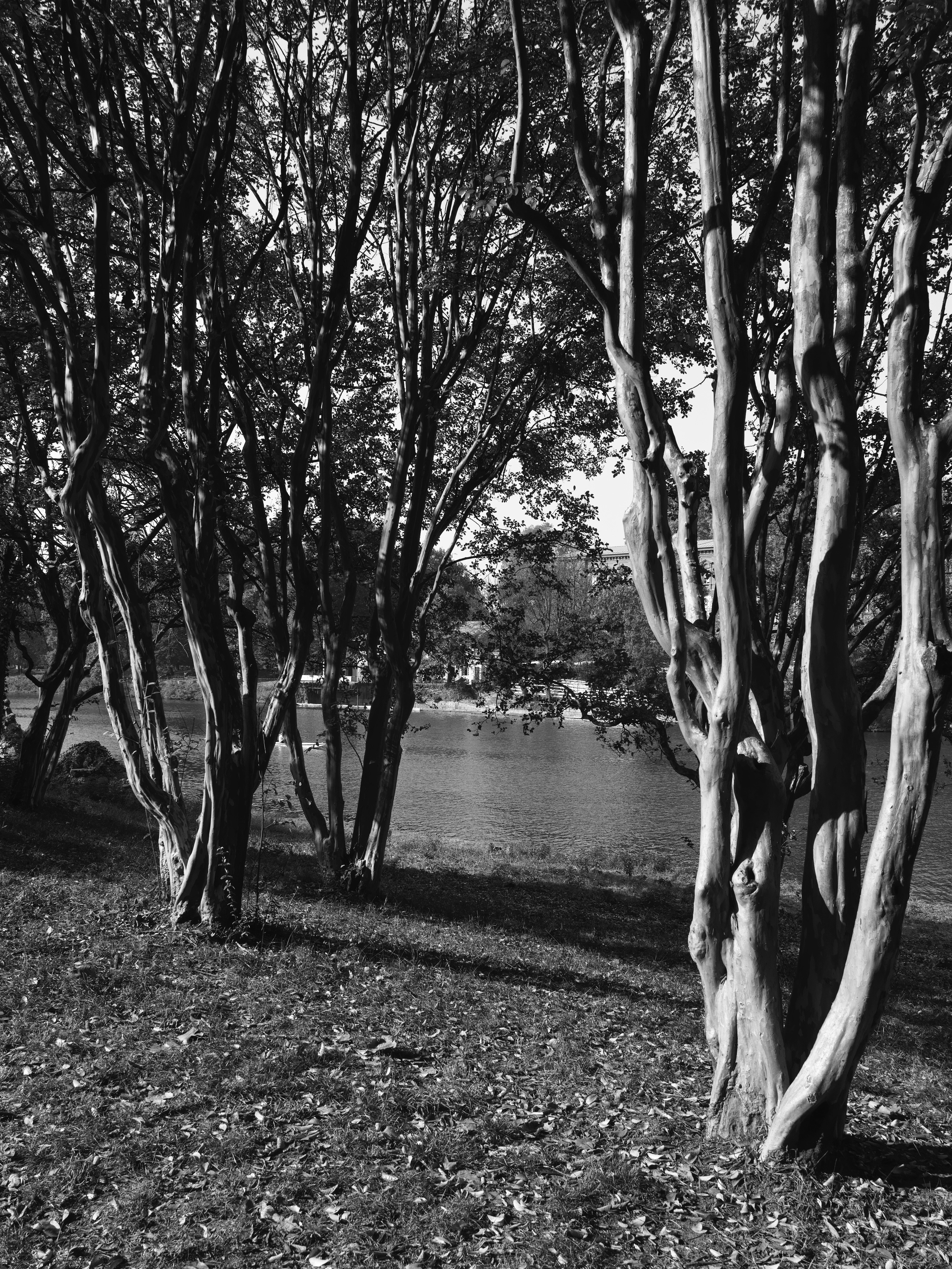 Photo by marcooooooooo