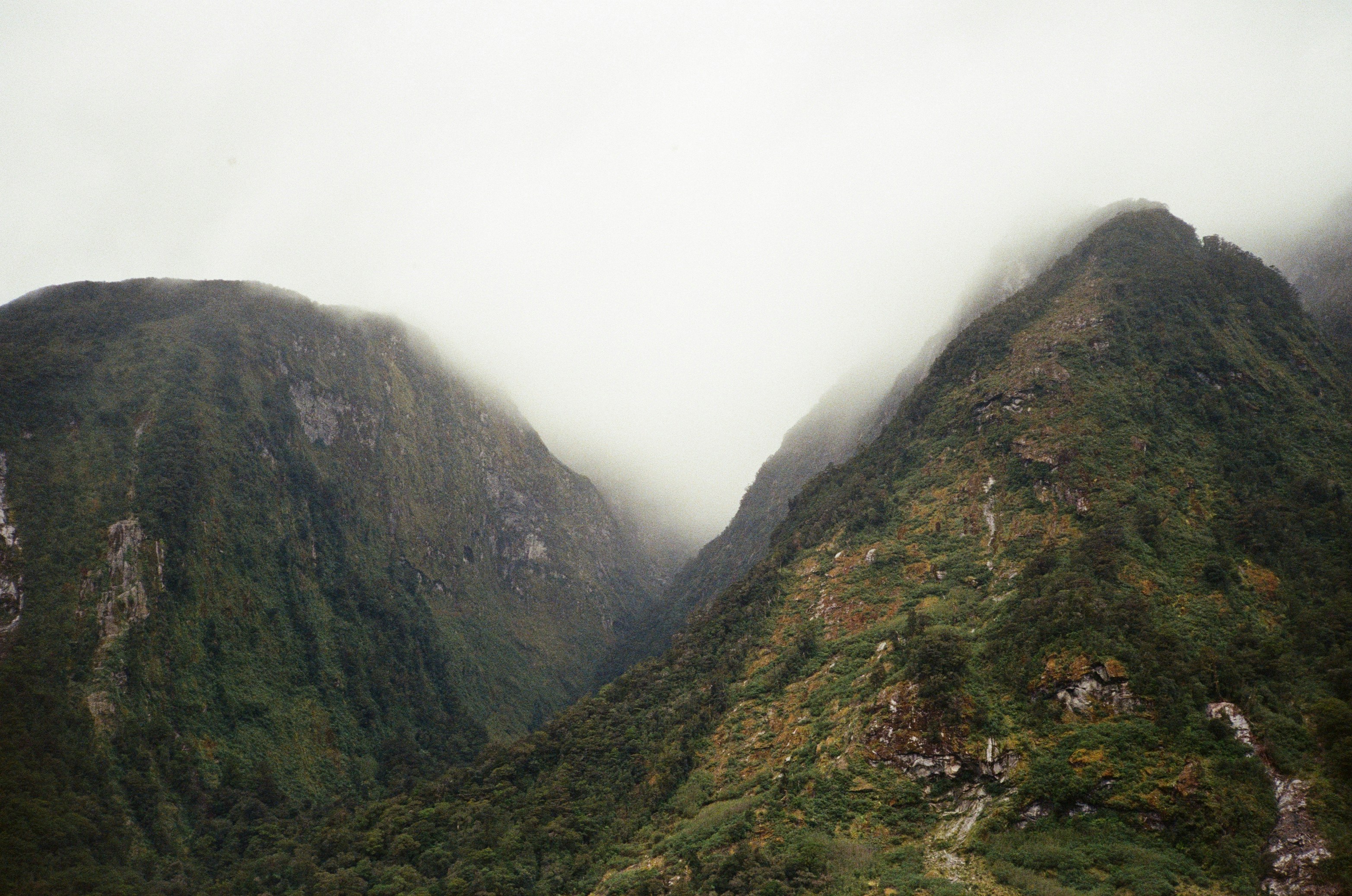 Photo by christopherstites