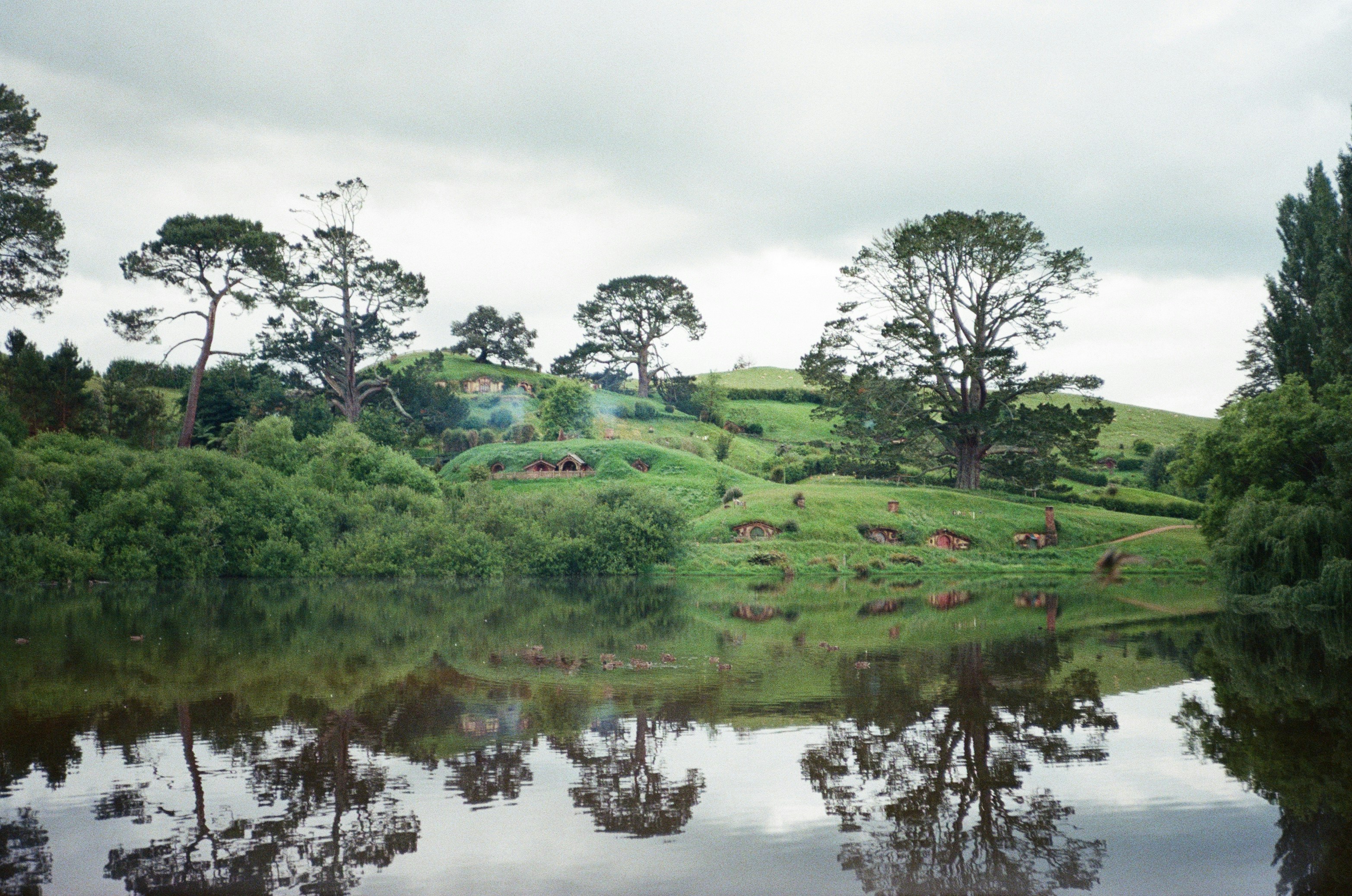 Photo by christopherstites