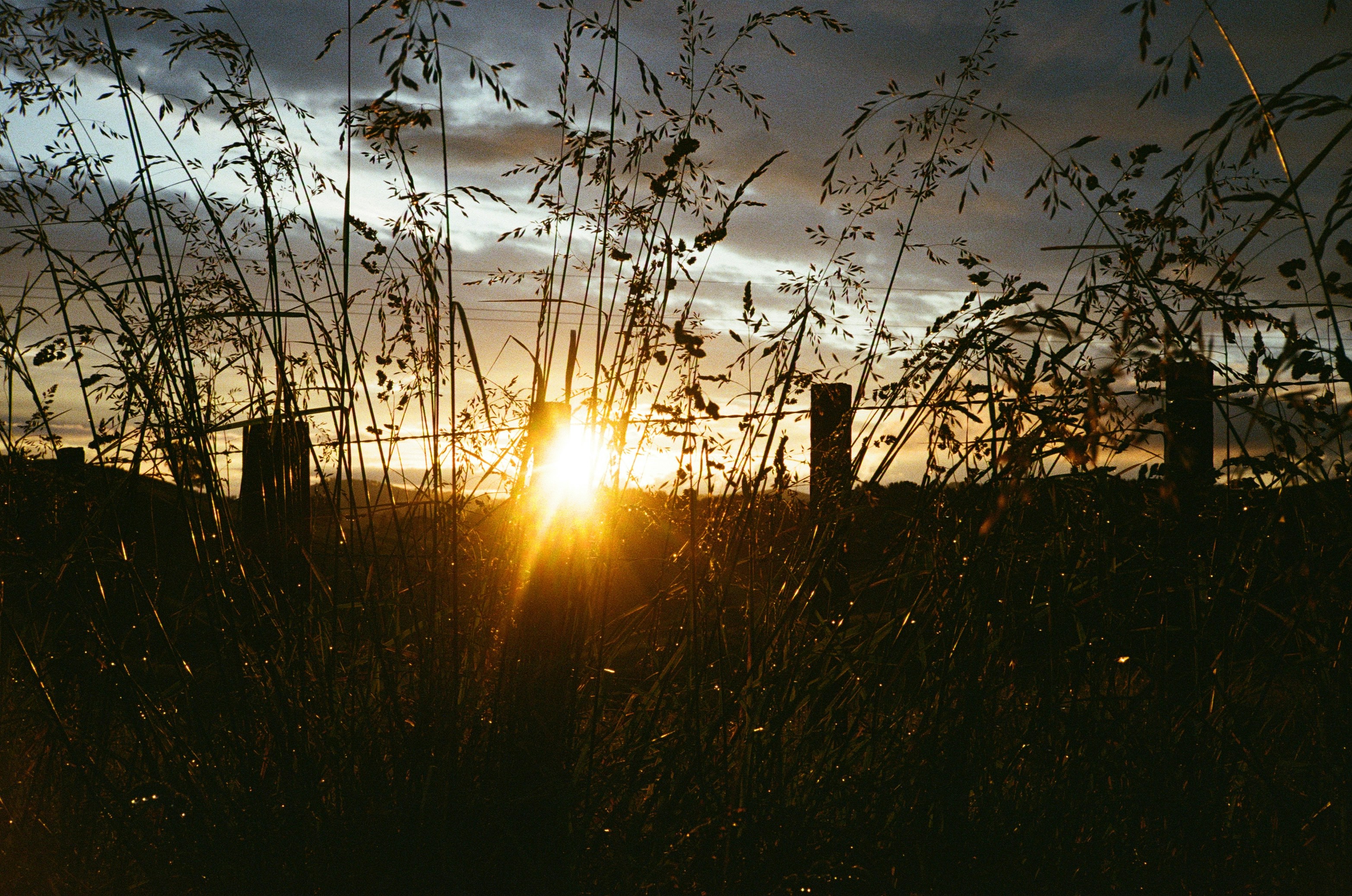 Photo by christopherstites