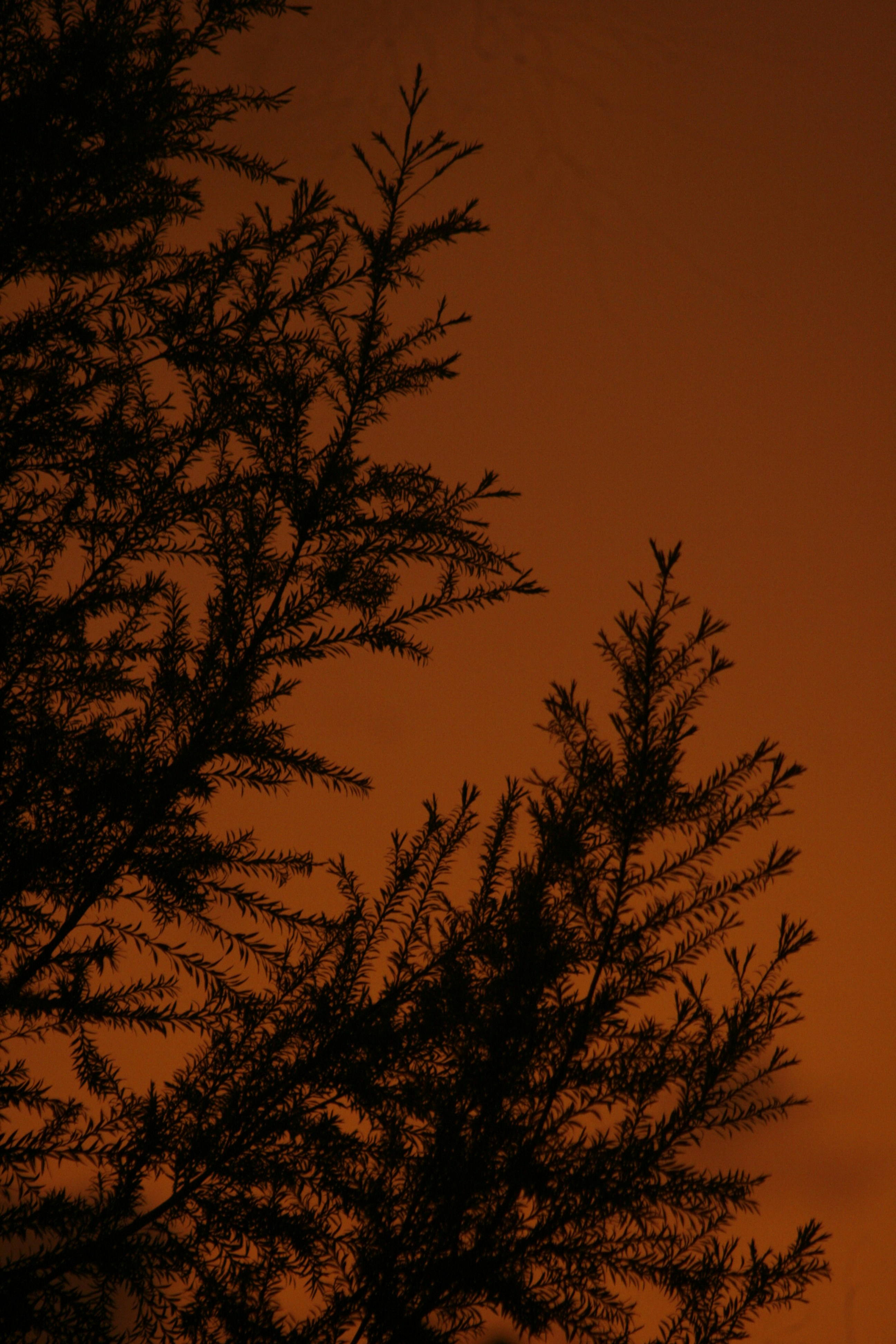 Photo by dinisuru2009