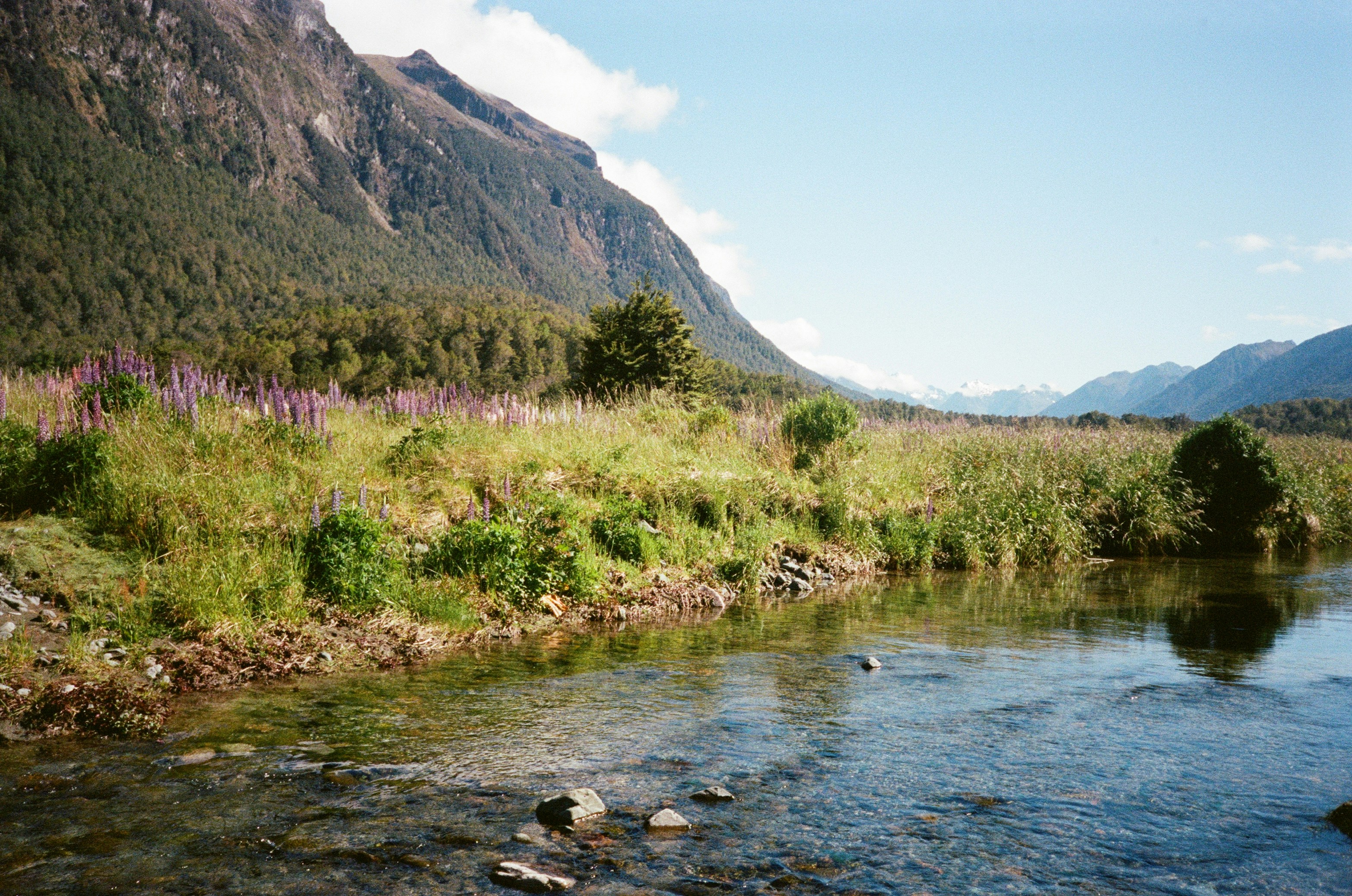 Photo by christopherstites