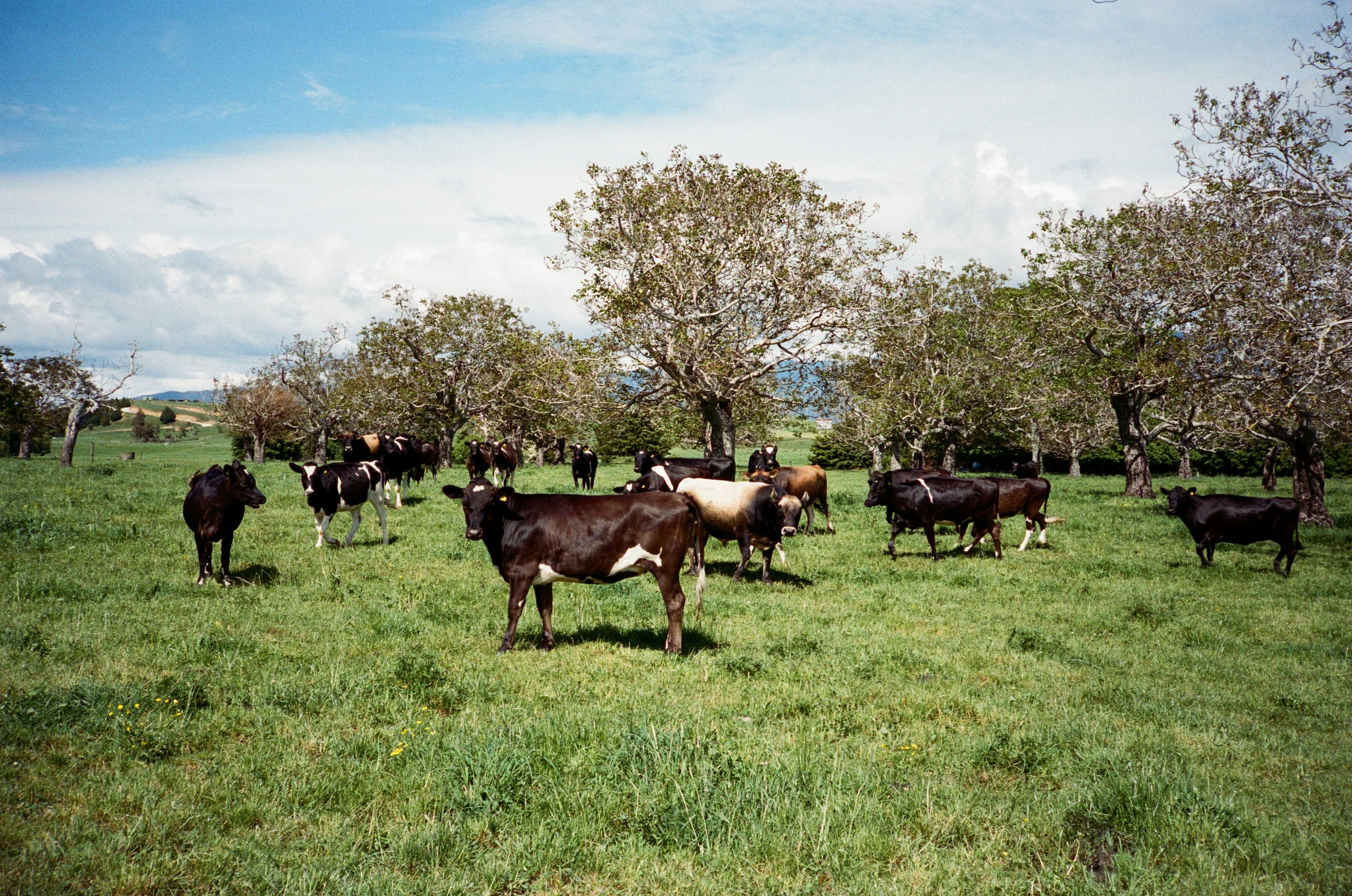 Photo by christopherstites