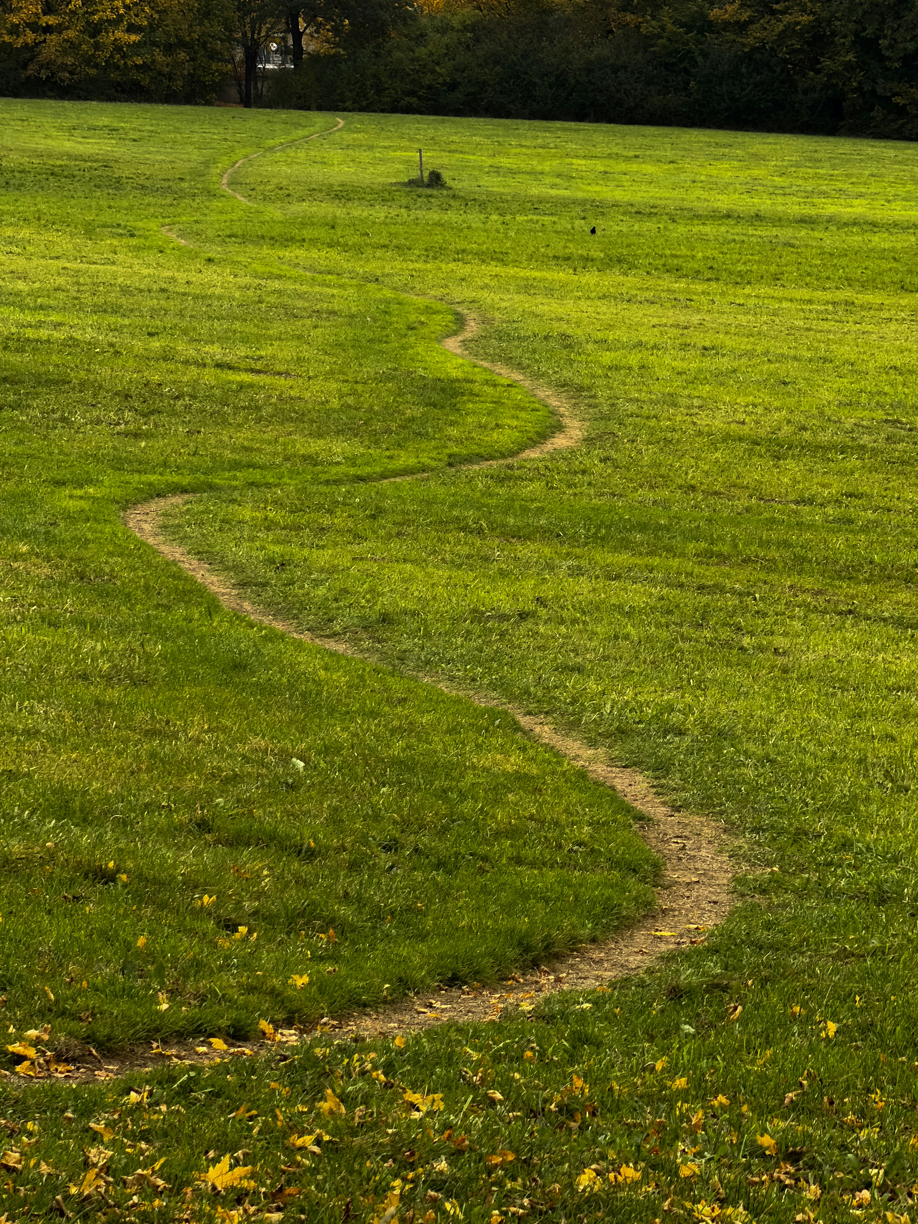 Photo by barbara_light