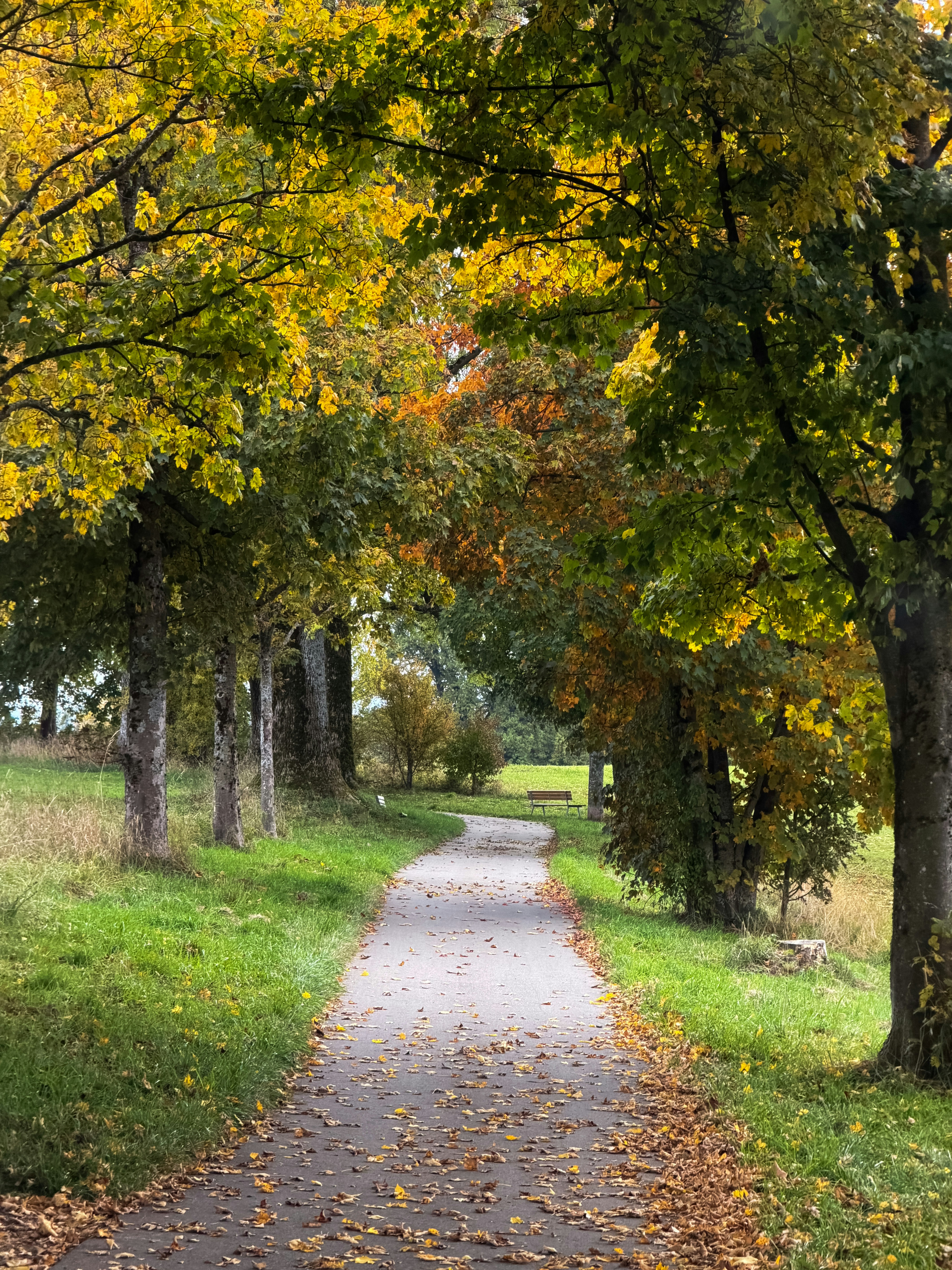 Photo by barbara_light