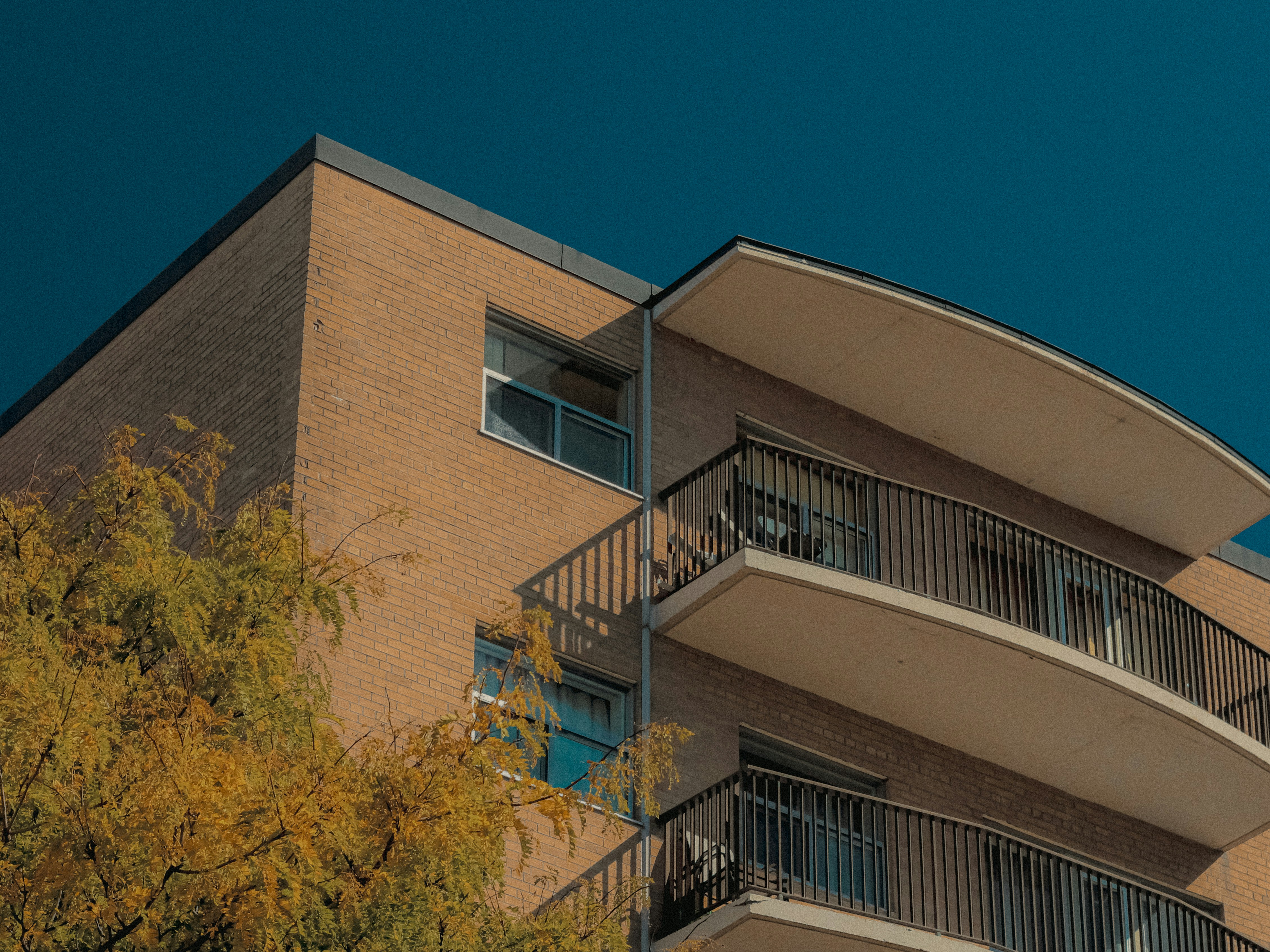 Photo by linusbelanger