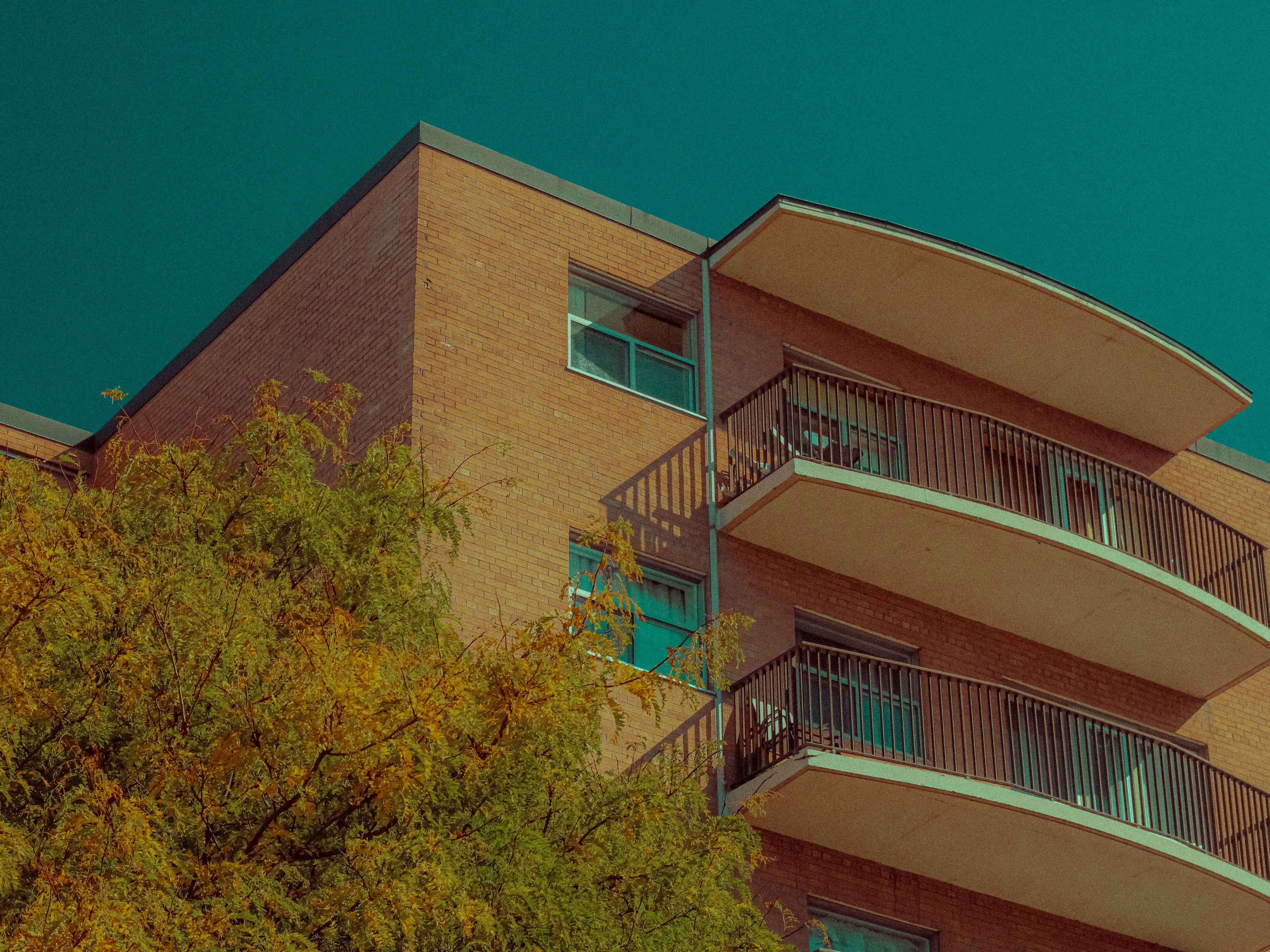 Photo by linusbelanger