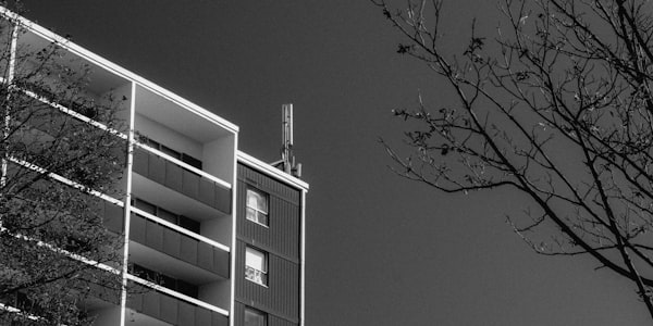 Primary School Eco Project Wins National Award