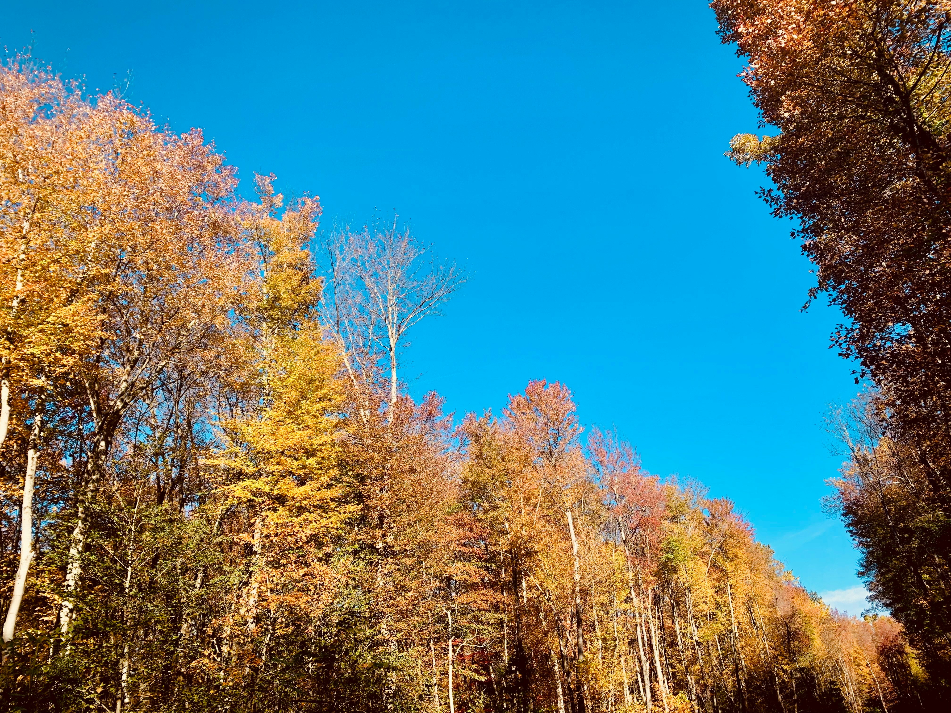 Photo by vidit_shah1