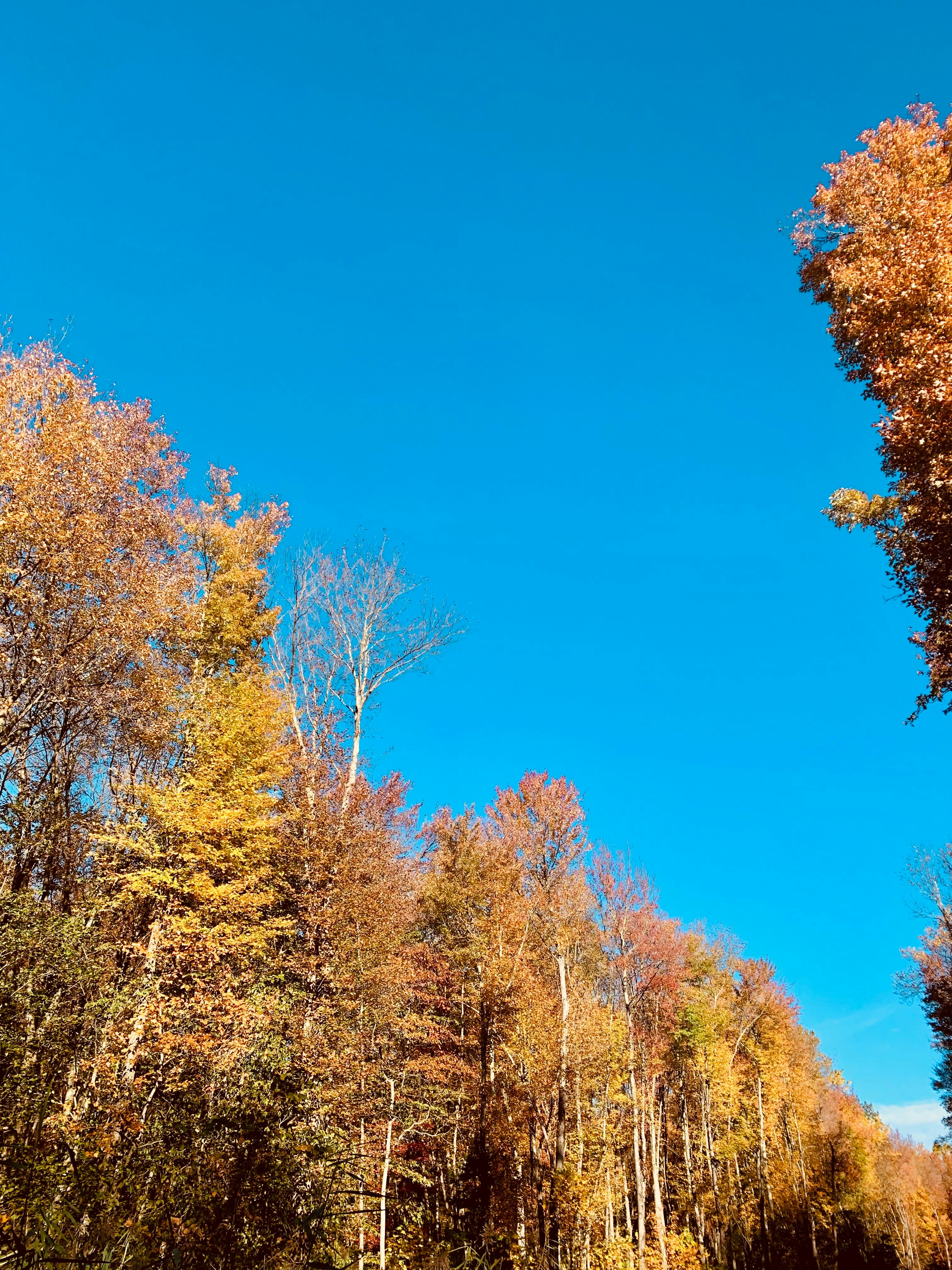 Photo by vidit_shah1