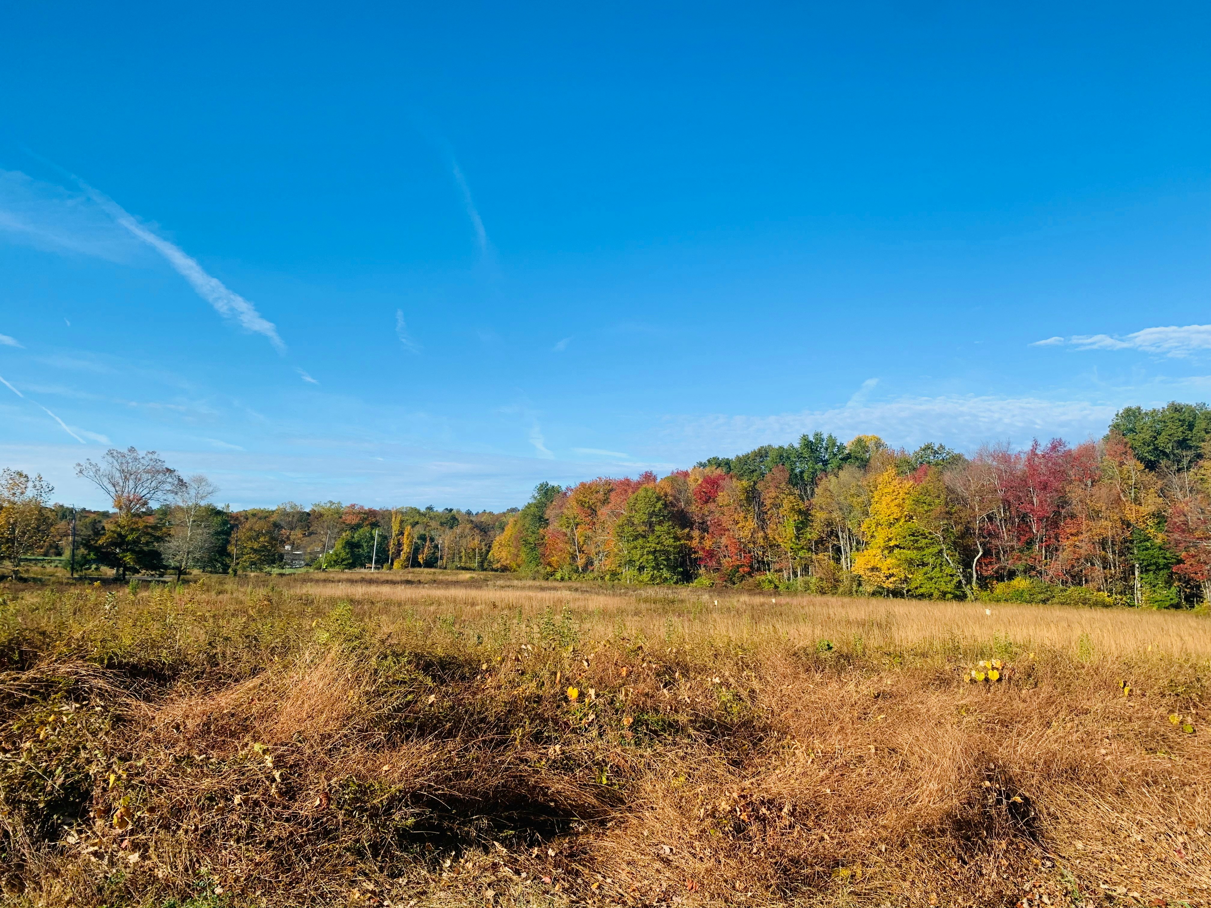 Photo by vidit_shah1