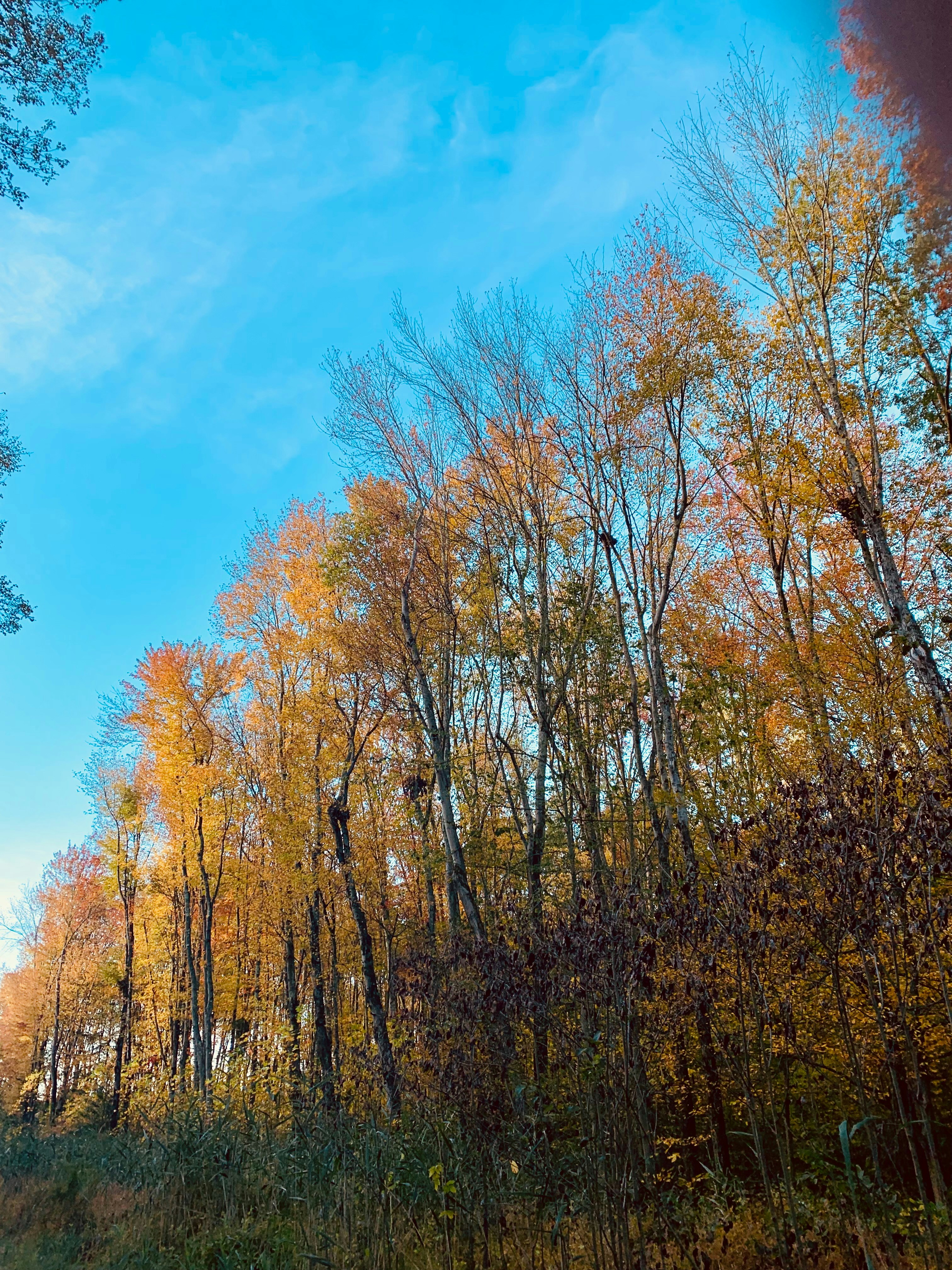 Photo by vidit_shah1