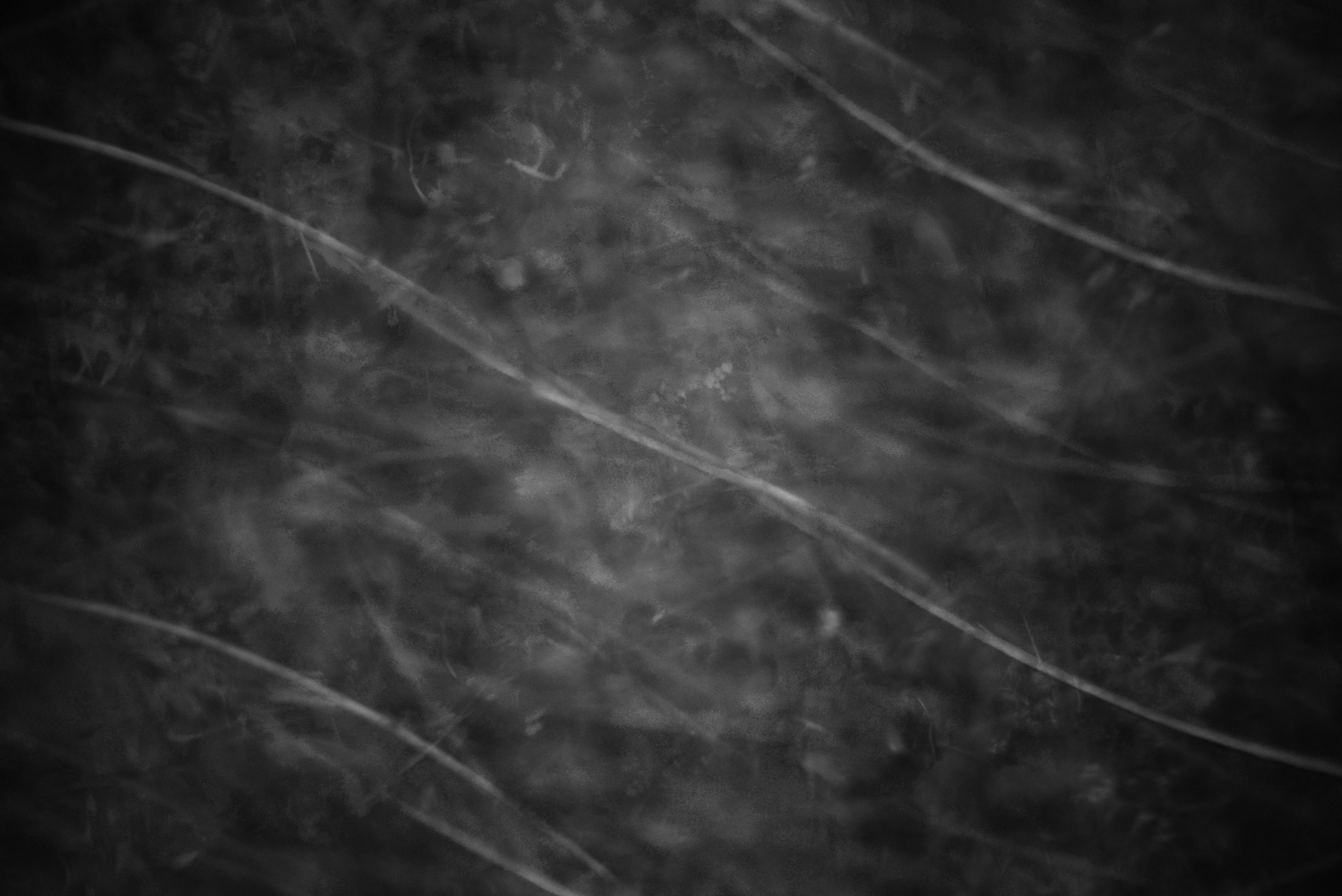 Photo by cherstve_pechivo