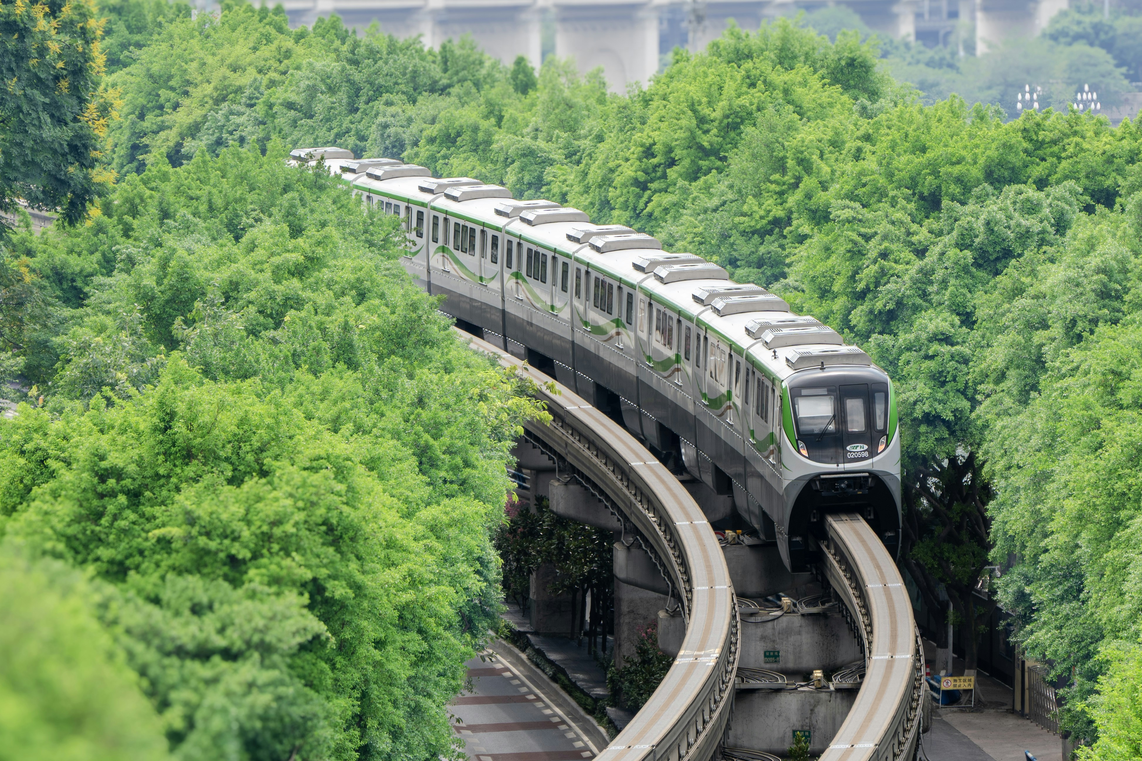 A modern monorail train travels through a lush green forest.