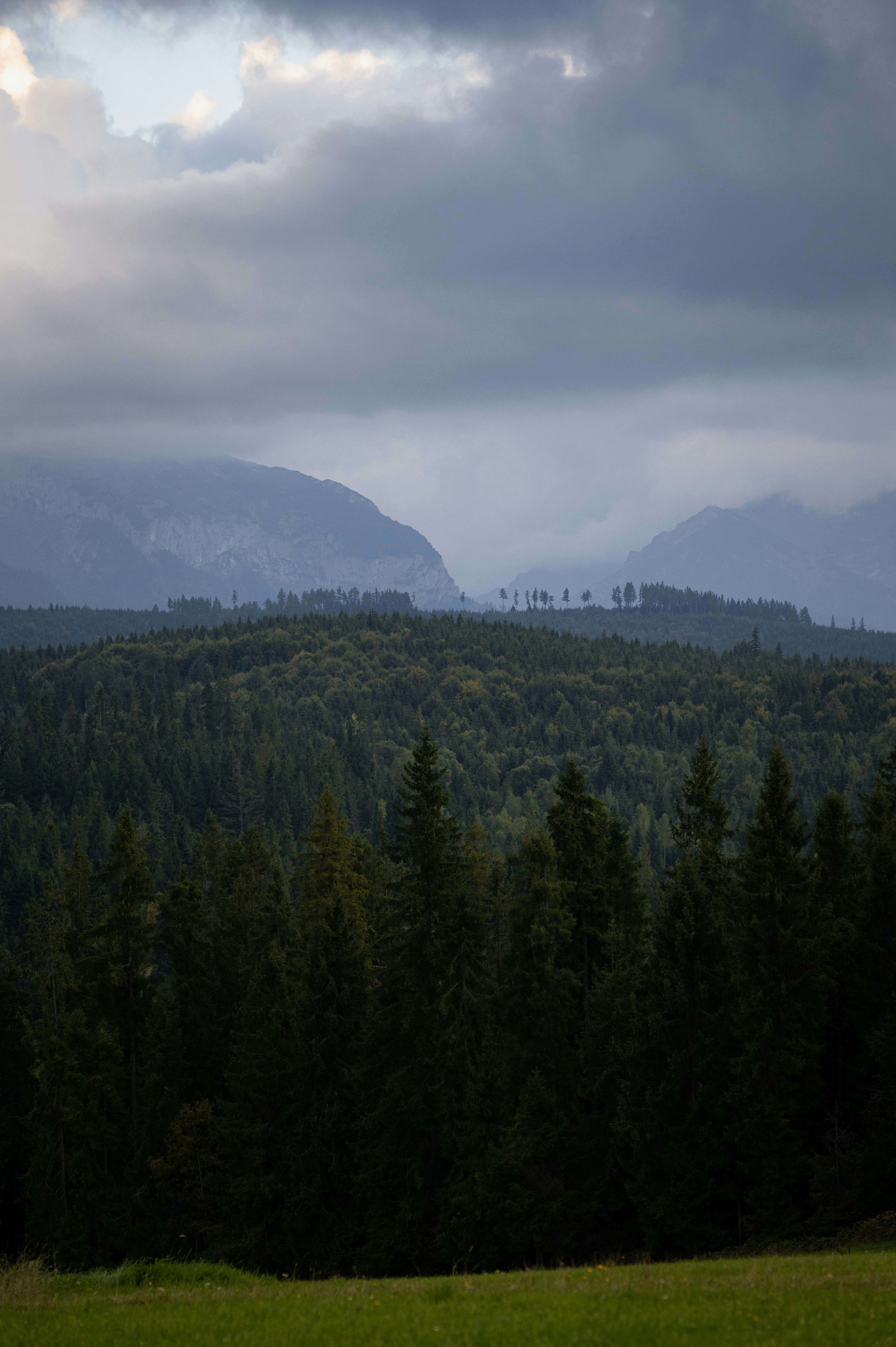 Photo by alexandra_p_d