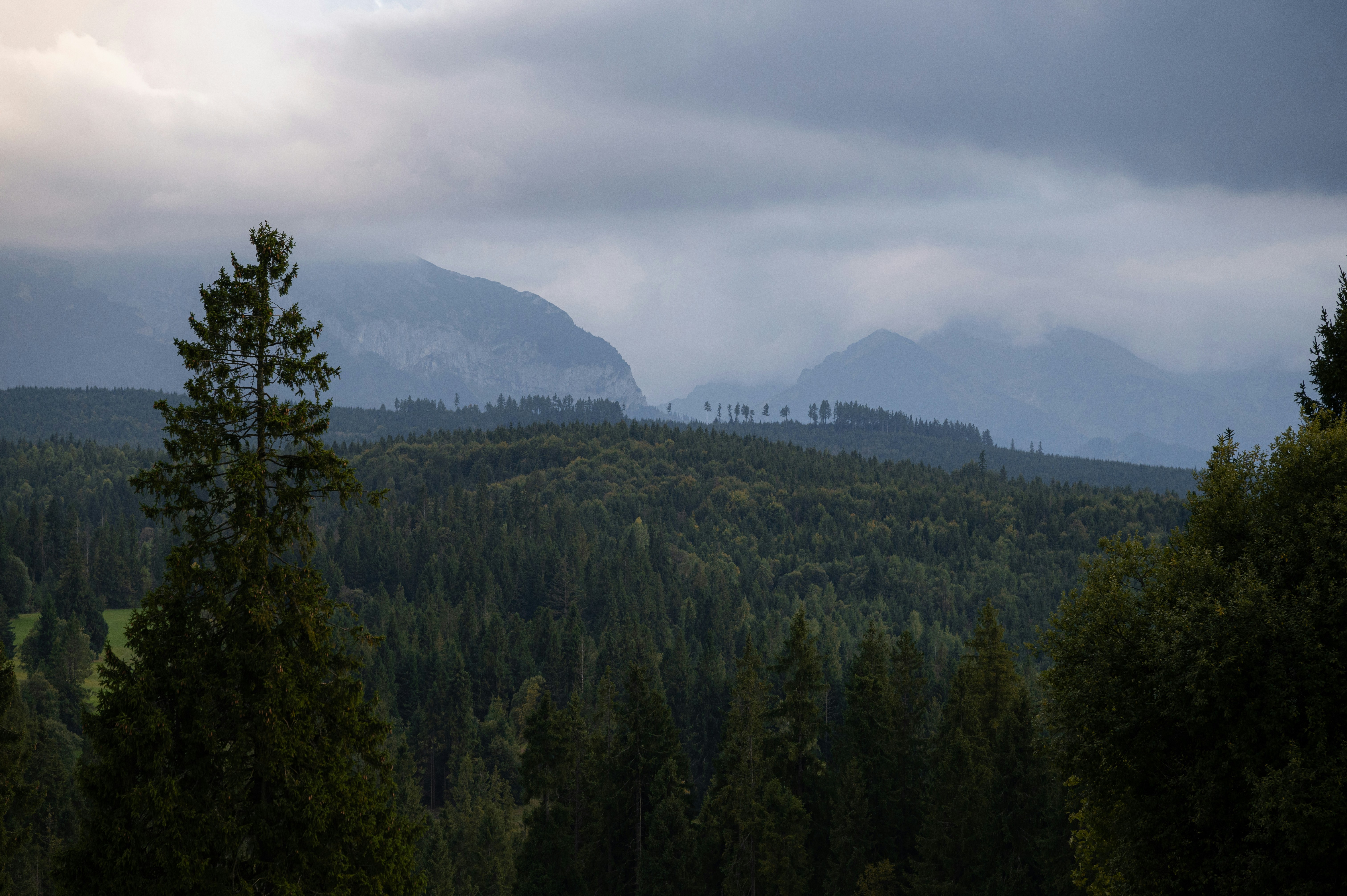 Photo by alexandra_p_d