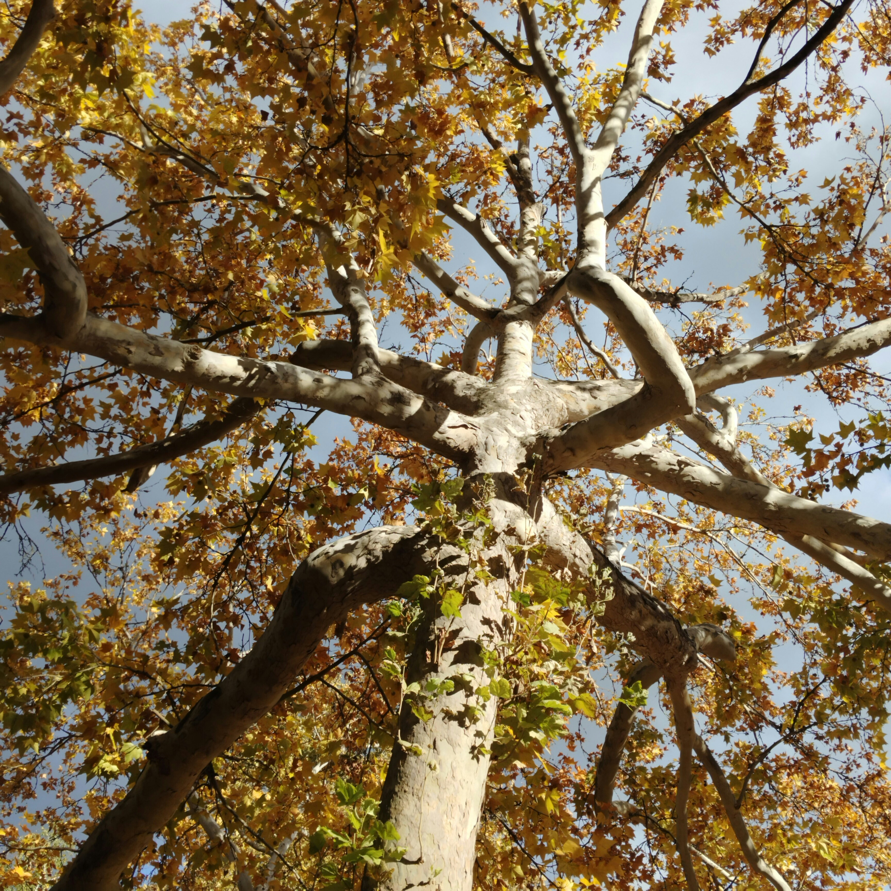 Photo by diamond0624