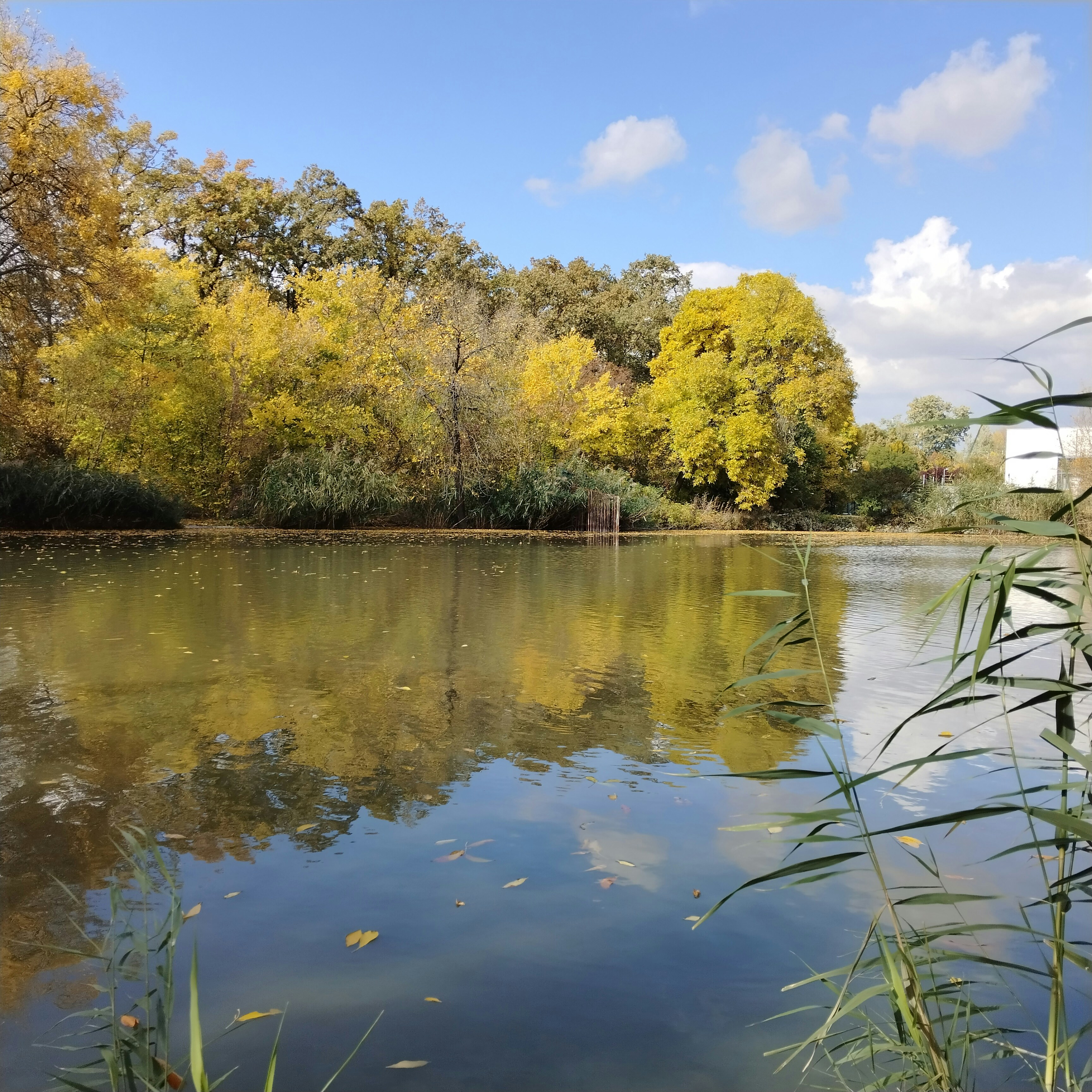 Photo by diamond0624