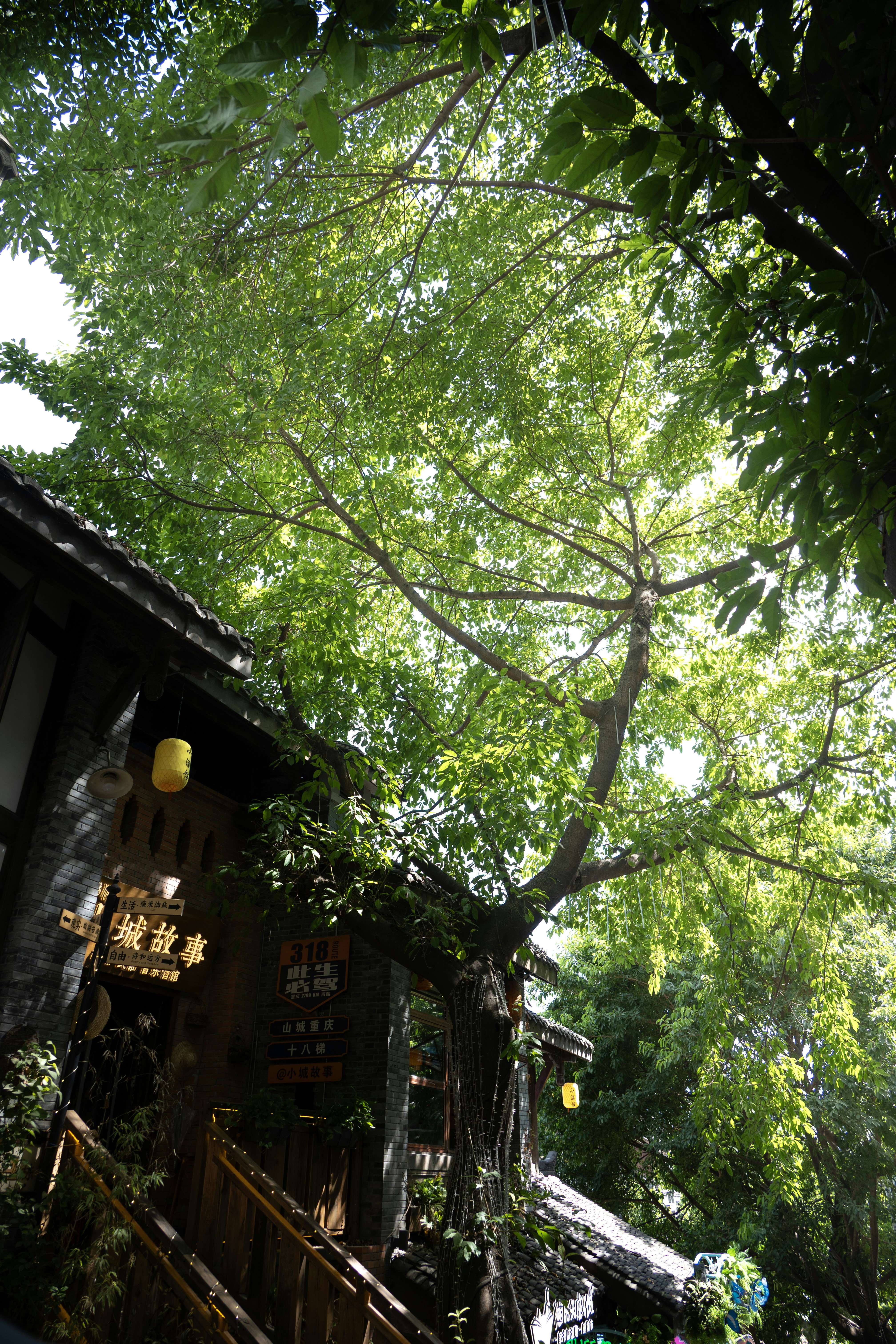 Traditional building nestled under lush green trees