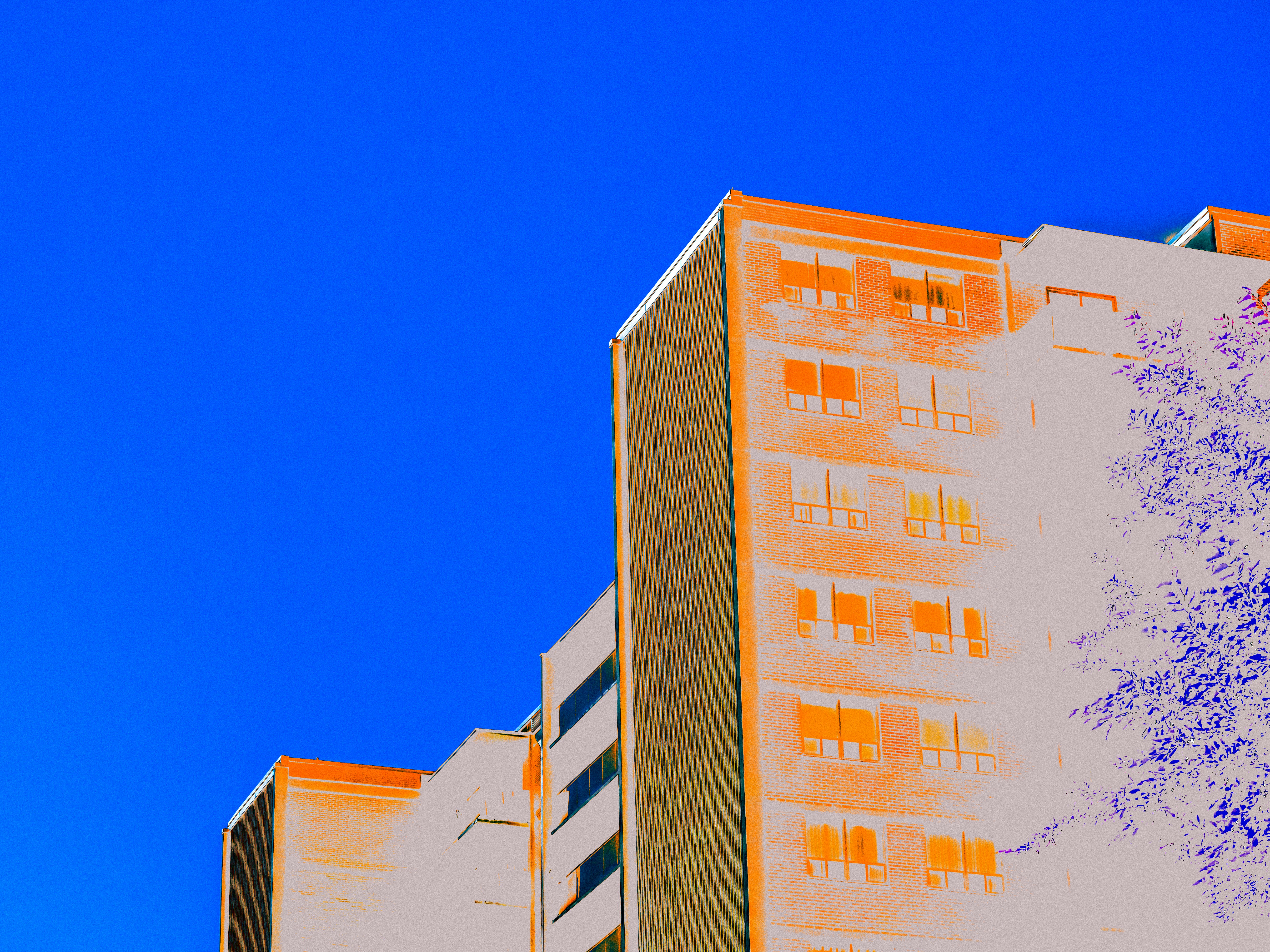 Photo by linusbelanger