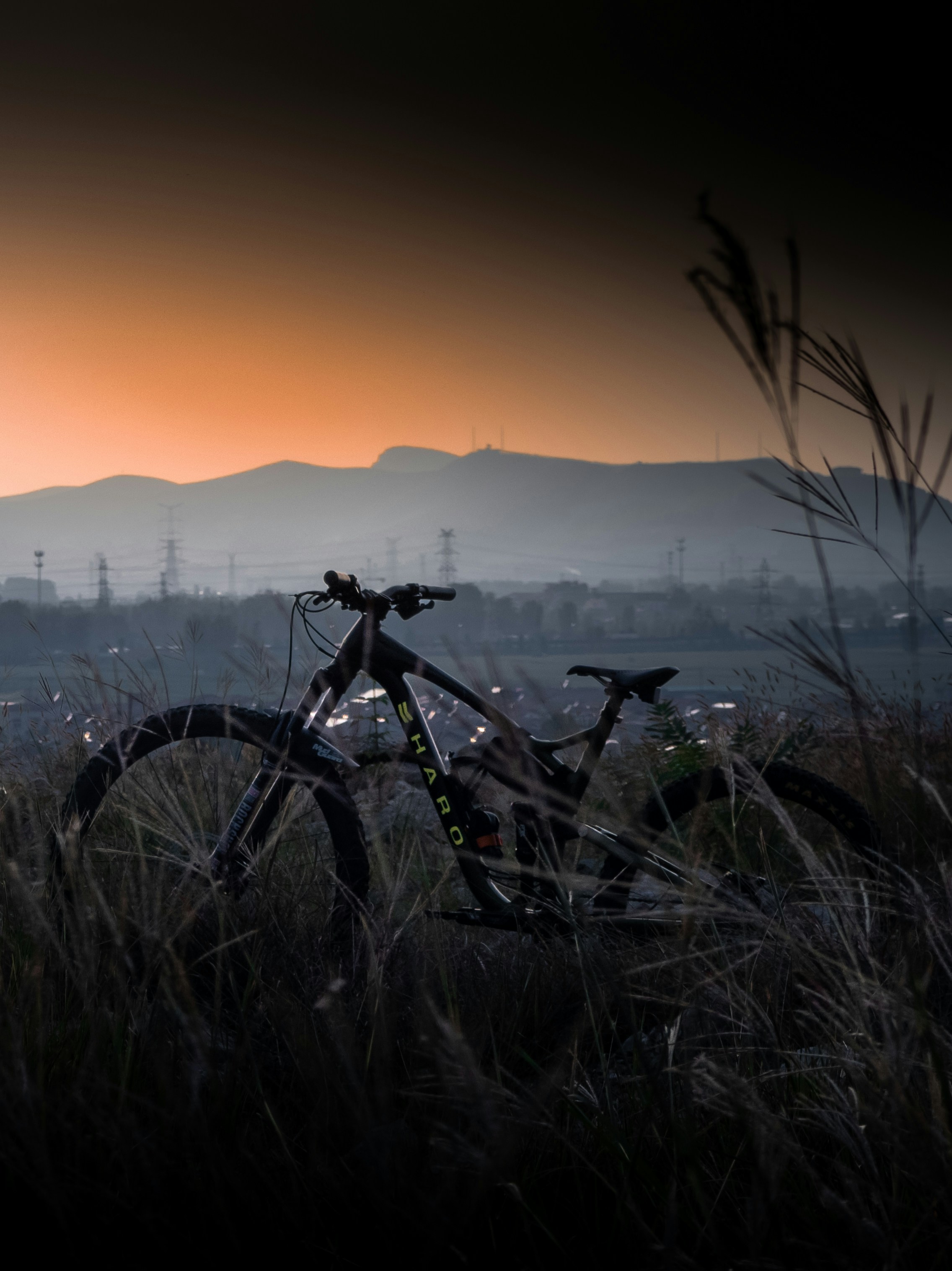 Mountain bike resting in tall grass at sunset.