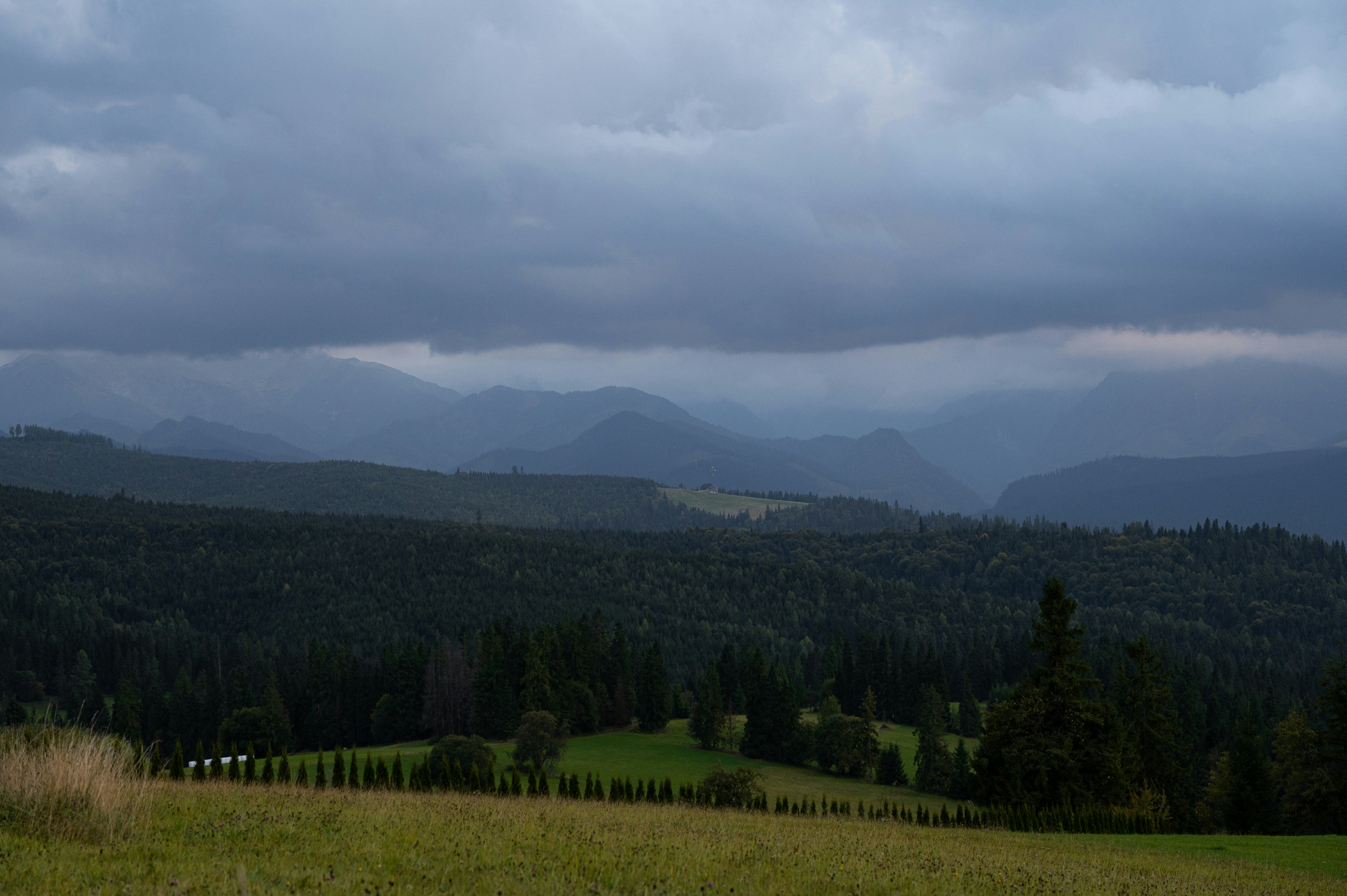 Photo by alexandra_p_d