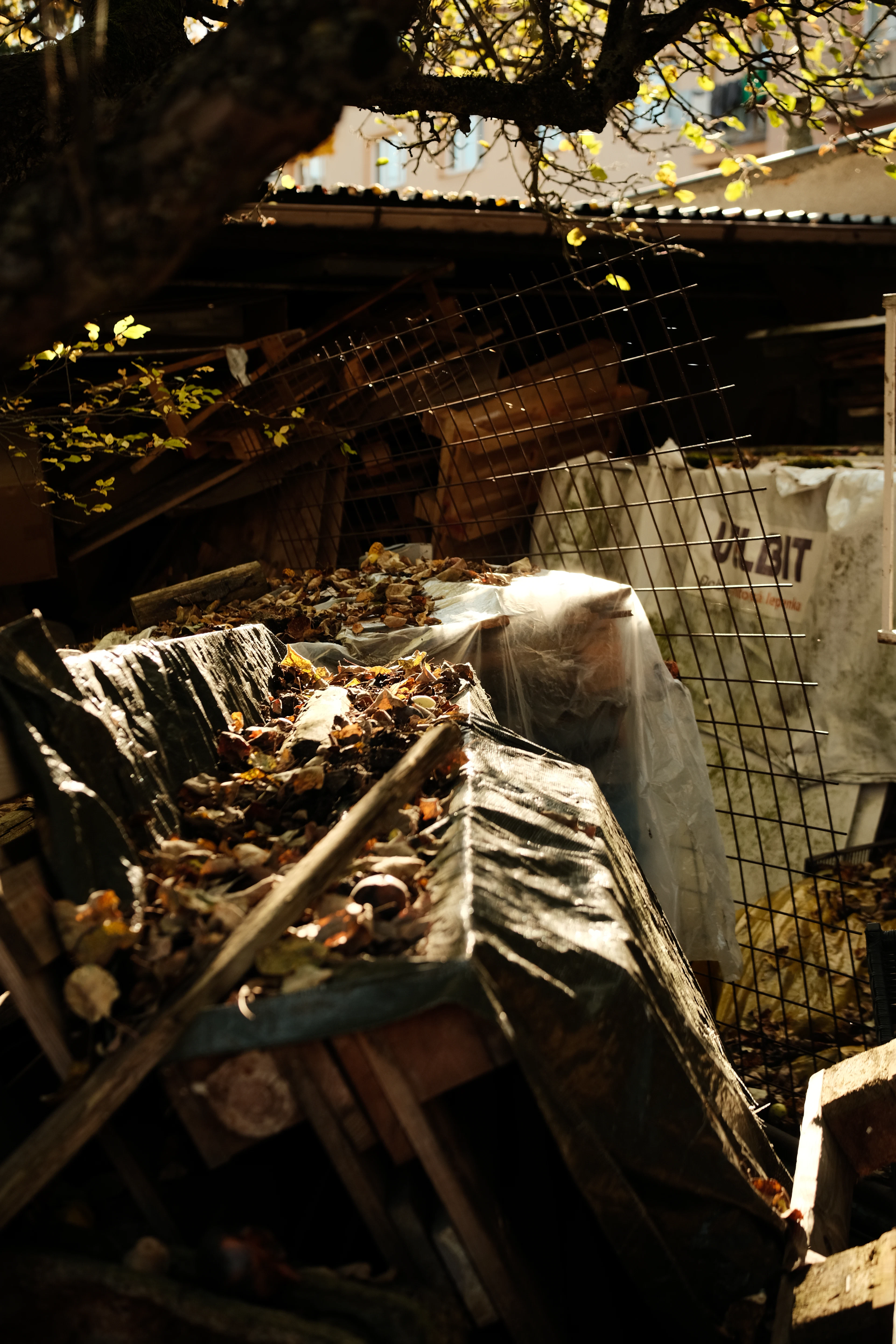 Yard Waste Removal in Apex, NC